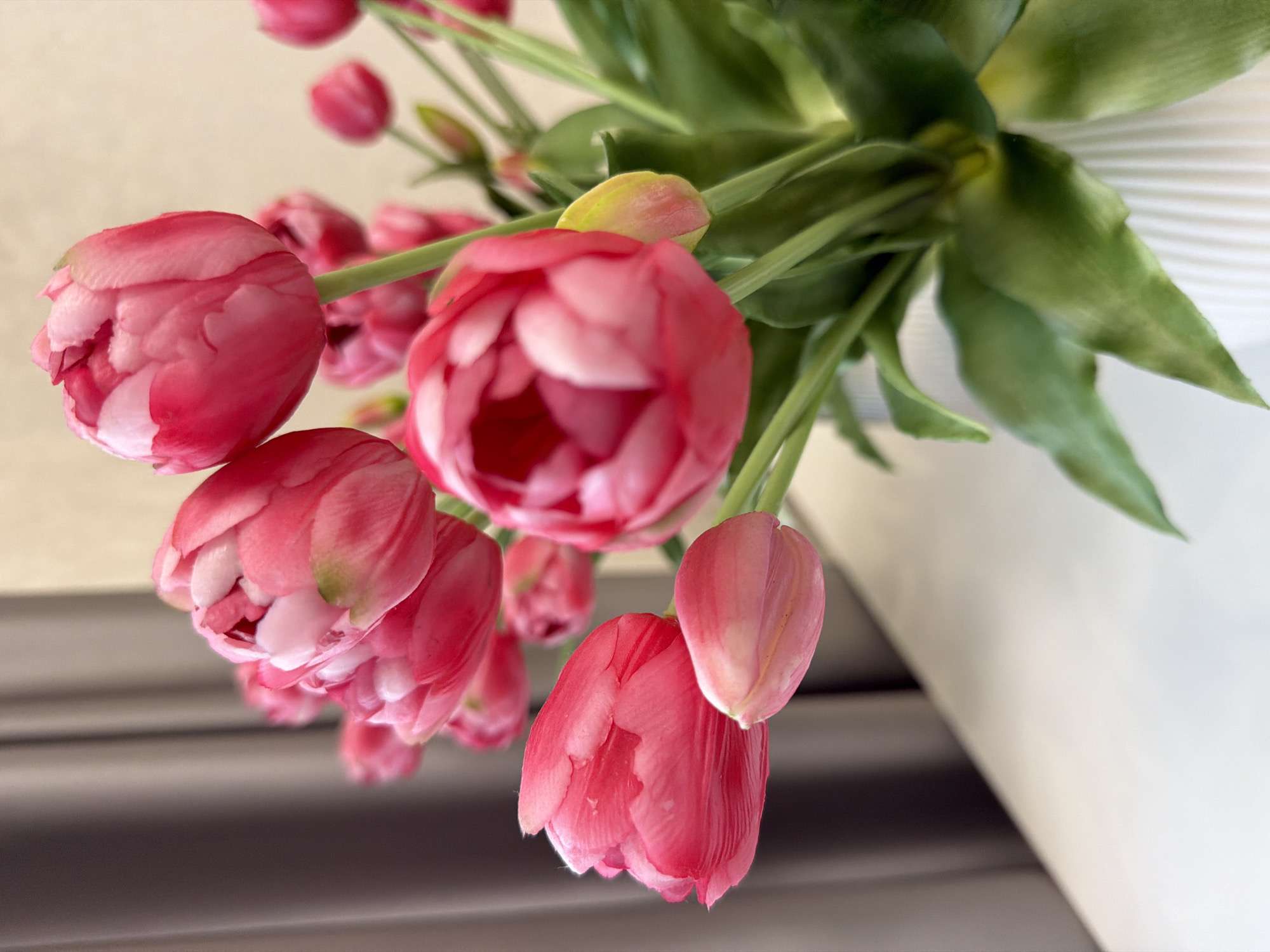 A bouquet of pink tulips is displayed against a neutral background. The tulips are in various stages of bloom, with some fully open and others still in bud. The petals are a vibrant pink with lighter pink or white edges. The green leaves and stems of the tulips are also visible, some of which are out of focus. The bouquet appears to be in a white vase, which is partially visible on the right side of the frame. The lighting suggests it might be daytime, possibly indoors, given the soft, diffused light. The overall impression is one of freshness and natural beauty.