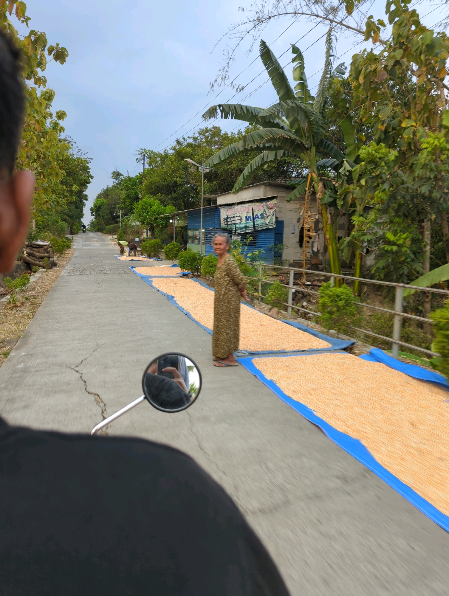 In Senggrong, Indonesia, an image captured from a motorcycle reveals a rural road lined with lush green trees and vegetation. On the right side of the road, large blue tarps are spread out, covered with a light orange, granular material, likely being sun-dried. A woman in a patterned dress stands near these tarps, facing the camera and smiling. In the distance, a person on another motorcycle can be seen further up the road. The sky is overcast, indicating a cloudy day. The scene is typical of a village environment where agricultural products are dried outdoors.