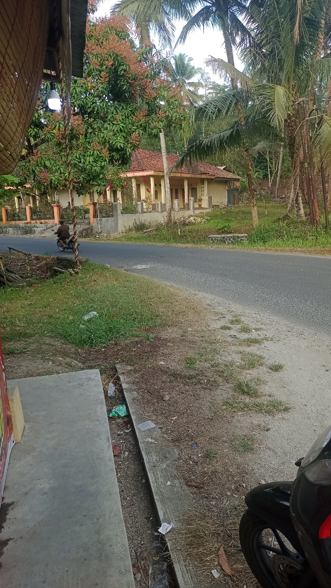 The image depicts a scene on a paved road in Linggalaksana, Indonesia, likely during the day given the lighting. In the foreground, a concrete path is visible on the left, with a dark motorcycle parked on the right. Beyond the road, there is a grassy area leading up to a row of houses with red tiled roofs. A large tree with green leaves and clusters of small, light brown flowers is prominent on the left side of the frame, with coconut trees and other foliage surrounding the houses. A person is riding a motorcycle on the road in the middle ground, moving away from the viewer. The overall environment appears rural or semi-rural, with vegetation and modest buildings.