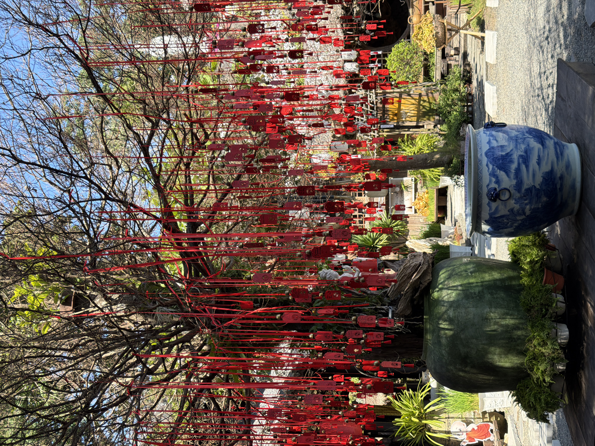 A tree in Đà Nẵng, Vietnam has multiple horizontal red ribbons hanging from its branches, each tied to small red, rectangular objects. The tree has predominantly bare branches with some sparse green leaves. In the background, there's a blue and white patterned ceramic pot and a large green pot. Beyond the tree and pots, glimpses of pathways, buildings, and greenery suggest a garden or outdoor area. A small decorative figurine is visible near the base of the green pot.