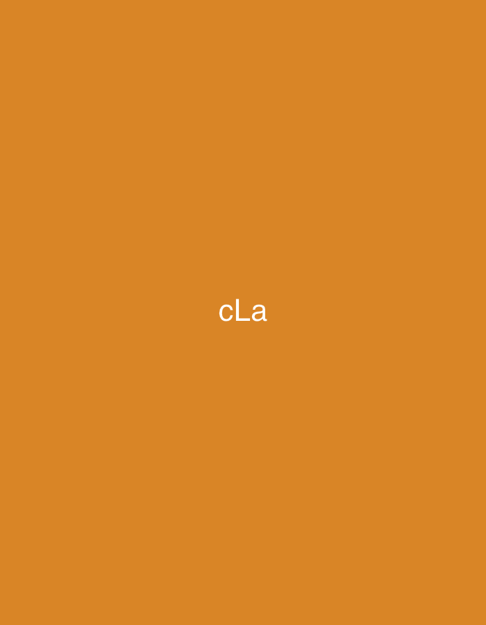 The scene depicts a solid, uniform background rendered in a dark orange hue, reminiscent of an earthy terracotta or burnt orange color. Centrally positioned within this monochromatic field are three white, sans-serif alphanumeric characters: "cLa". The characters are distinctly visible against the background. There are no individuals, animate subjects, complex objects, or specific environmental details beyond the colored plane and the text. The context for this scene is stated to be the city of Casablanca, Morocco.