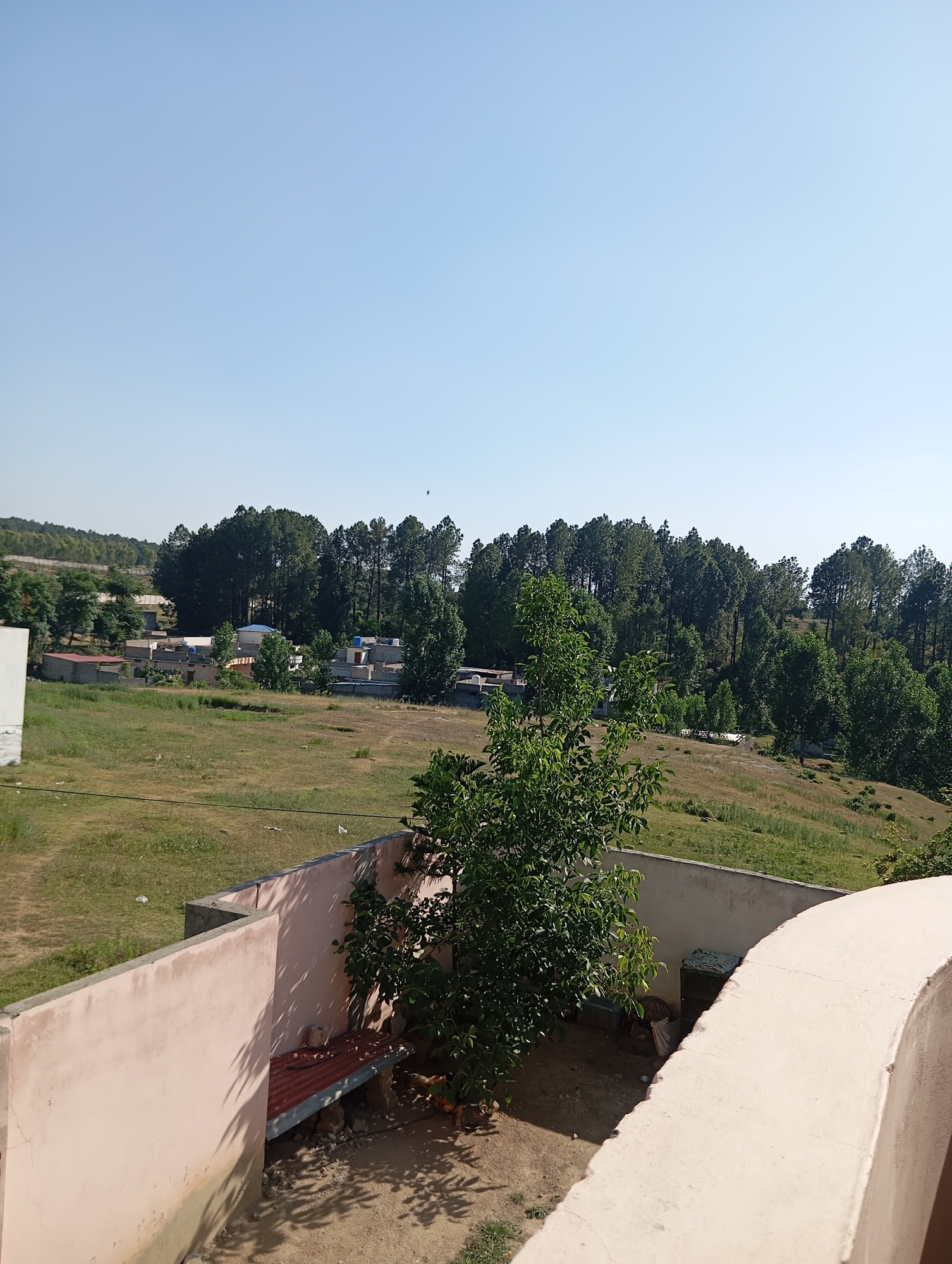 The image shows a rural landscape with a clear blue sky. In the foreground, there is a light pink wall that curves to the right. Next to the wall, a tree with green leaves is visible. Below the wall, there is a small courtyard with a bench and some scattered debris. In the middle ground, there is a grassy field with a few trees. In the background, there is a dense forest of pine trees covering a hillside, with some buildings and houses scattered among them. The overall impression is one of a serene and natural environment.