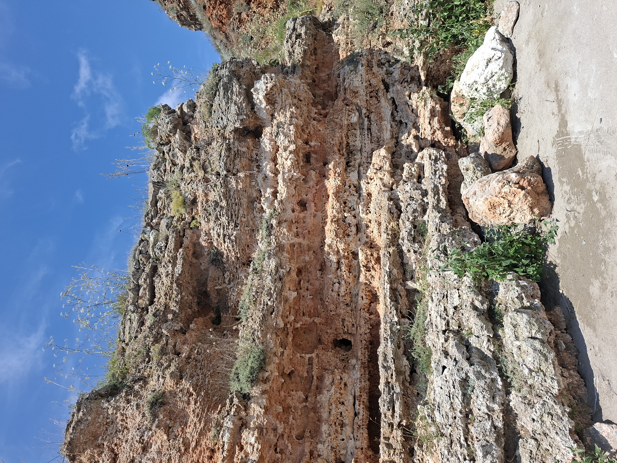 This is a photograph of a rocky cliff face in Balgarevo, Bulgaria, under a bright blue sky with scattered white clouds. The cliff is composed of layers of reddish-brown and lighter-colored rock, exhibiting a porous and eroded texture with numerous holes and cavities. Sparse vegetation, including dry grasses and green leafy plants, grows from crevices in the rock face and at its base. At the bottom of the image, a sandy ground is visible with several large rocks scattered across it, some of which are white and others reddish-brown. The scene appears to be a natural coastal landscape. There are no people or animals visible in the image.