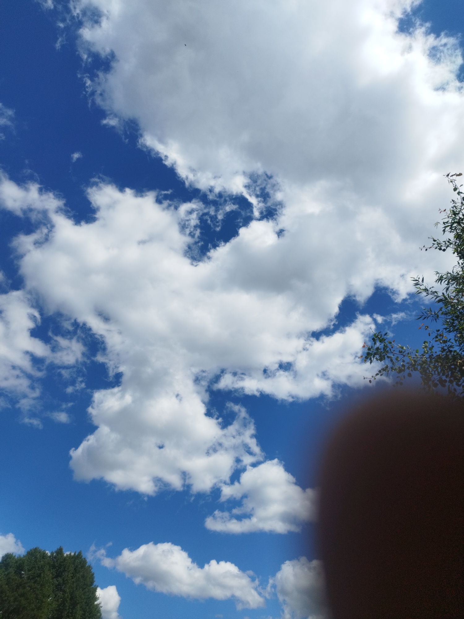 A wide-angle, low-angle outdoor shot depicts a bright blue sky filled with fluffy white cumulus clouds. The sun is shining brightly, creating highlights on the clouds. In the lower left quadrant of the image, the tops of lush green trees are visible, suggesting a natural or park-like setting. In the upper right quadrant, the branches of a leafy tree extend into the frame, with some of its leaves in focus and others blurred. The image is partially obscured on the right side by a large, dark, circular shadow, possibly from a finger or an object being held too close to the camera lens, indicating a casual, handheld photograph. The scene is set in Andělská Hora, Czechia.