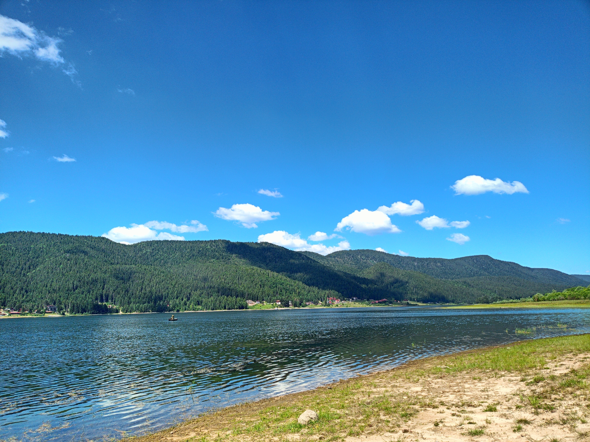 The image depicts a scenic view of a lake in Sarnitsa, Bulgaria. The foreground features a sandy shore with sparse green grass and a large grey rock. The lake itself is calm with gentle ripples on its surface, reflecting the bright blue sky dotted with white clouds. In the distance, a dense green forest covers the rolling hills that form a backdrop to the water. A small, dark boat with a single occupant can be seen on the lake. A cluster of buildings, some with red roofs, are visible nestled among the trees on the shoreline. The overall scene is one of natural beauty and tranquility under a clear, sunny sky.