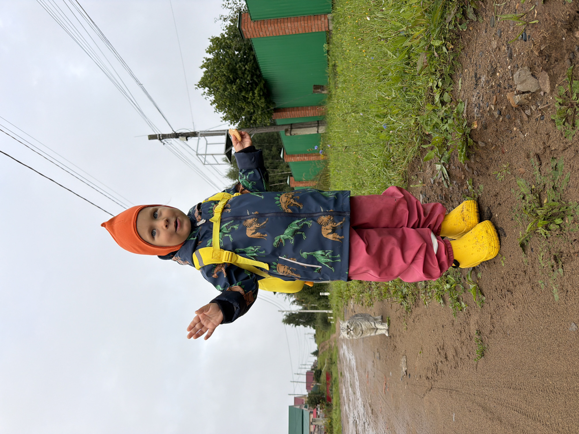 A young child wearing an orange beanie, a dinosaur-print jacket, pink trousers, and yellow rain boots stands on a dirt path, holding a biscuit. The child has a yellow backpack on and is looking towards the viewer with their right hand raised. A light grey cat stands on the path behind the child, facing the viewer. The path is lined with green grass on the right and wet dirt on the left, with tire tracks visible in the dirt. In the background, there is a green fence, trees, houses, and power lines against an overcast sky. The scene appears to be in a rural or suburban area of Chaikovsky, Russia.