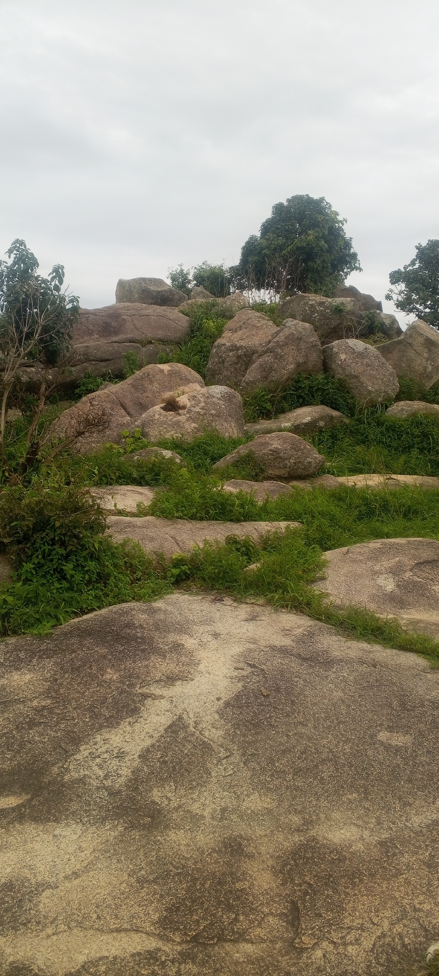 The image depicts a rocky landscape with sparse vegetation under a cloudy sky. The foreground features a large, smooth, light-colored rock with darker, textured patterns. Behind this, a series of large, rounded boulders are scattered across the terrain, interspersed with patches of green grass and leafy plants. Some trees with dense foliage are visible further up the slope, against the muted sky. The scene suggests an outdoor environment, possibly a natural park or undeveloped area. The location is identified as Ohit, Nigeria. There are no people or animals visible in the image. The overall impression is one of natural geological formations and vegetation.
