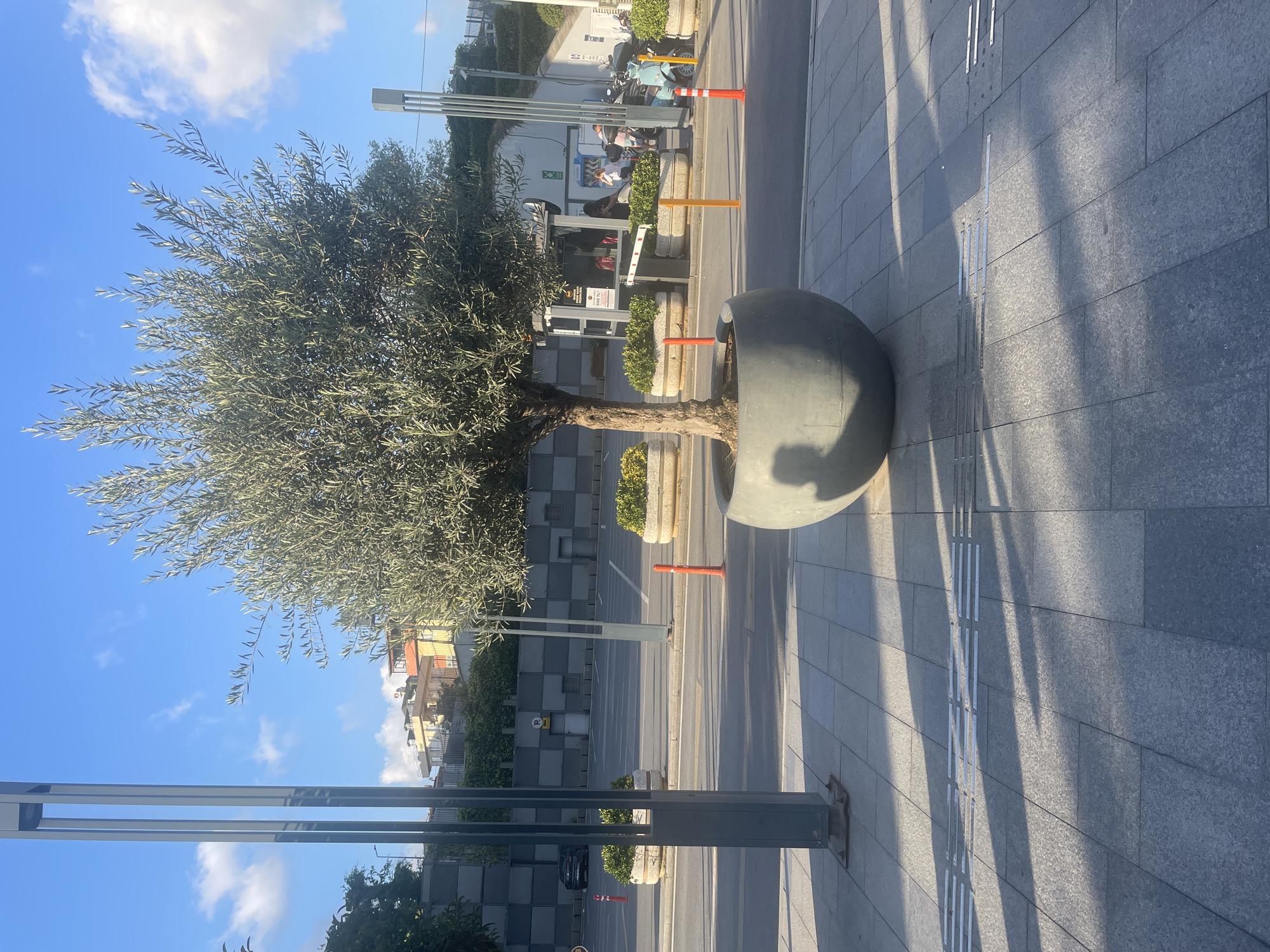 The image depicts an outdoor scene in Ataşehir, Turkey, likely on a street or promenade. In the foreground, a large, circular, dark gray planter contains a mature olive tree. The planter casts a shadow on the gray tiled pedestrian walkway. The walkway features tactile paving for visually impaired individuals. Behind the planter, a street is visible with parked cars and a parking lot demarcated by white lines. Several cylindrical orange and yellow traffic bollards are placed along the street.
Further in the background, a series of modern buildings with beige and orange facades are visible, some with balconies. A dark gray, textured wall with a grid pattern is situated behind the street. There are also modern, tall, dark gray metal lampposts. To the right, a small booth with a white barrier arm is present, suggesting a checkpoint or entry point, with a few individuals visible near it and a light blue scooter parked nearby. The sky is bright blue with scattered white clouds, indicating a sunny day. The overall environment appears to be a well-maintained urban public space.