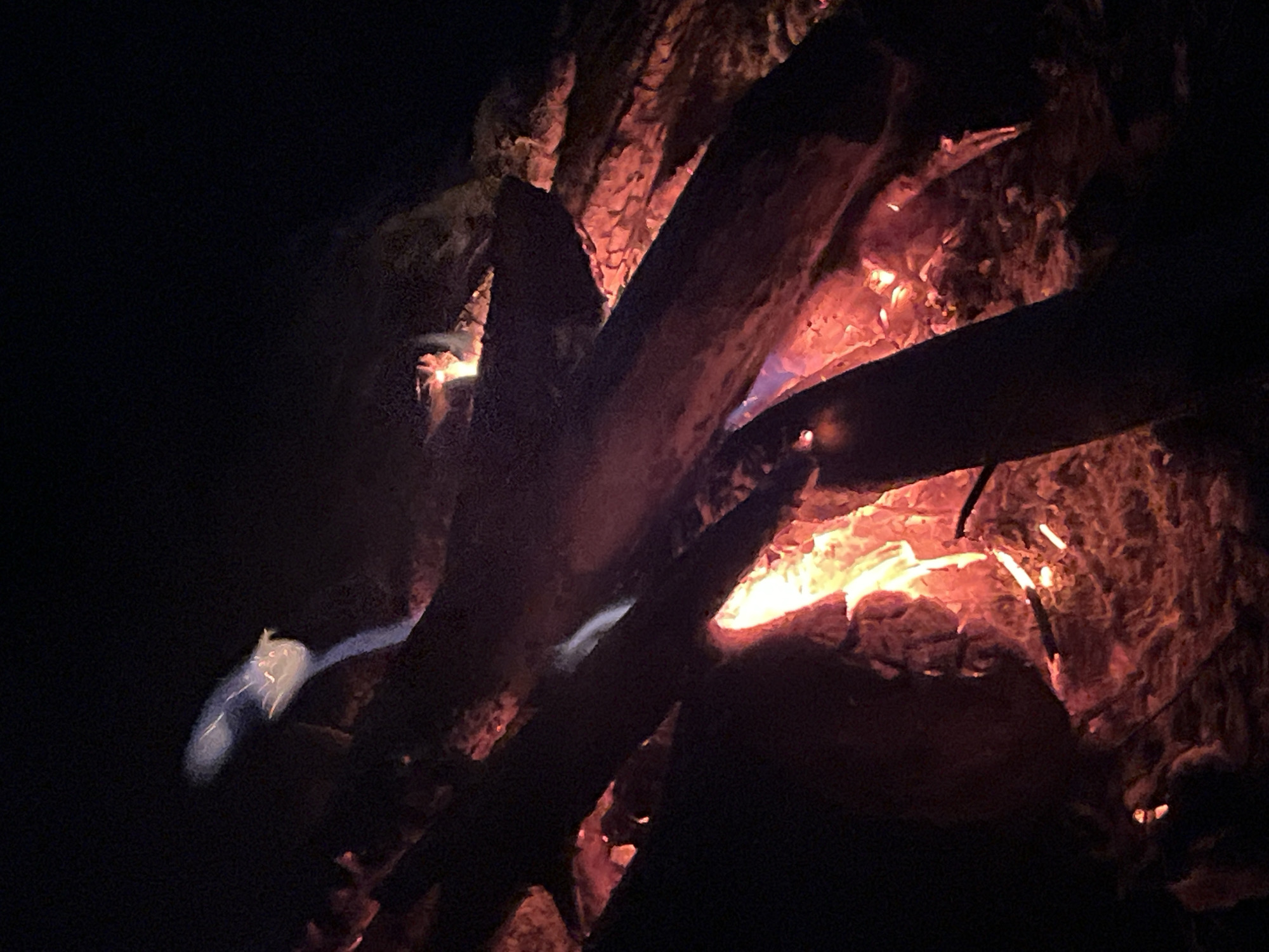 An indoor, close-up shot captures a dark, wood-burning stove with visible embers and flames. The focus is on the burning wood, which appears to be logs and branches, creating a warm, orange glow. A wispy trail of smoke drifts upwards from the fire, illuminated by the flames. The background is a dark, indistinct void, suggesting the interior of a room or a night setting. The image does not contain any people or objects that would indicate a specific location within the city of Chaikovsky, Russia.
