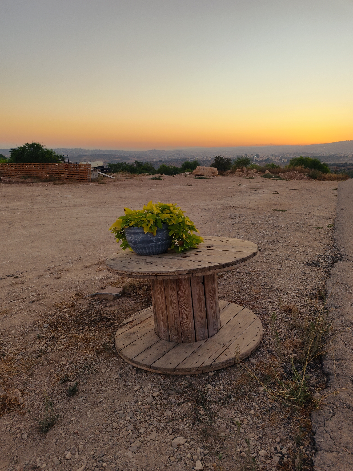 A wooden cable spool serves as a rustic table, topped with a grey pot holding a vibrant green plant. The spool rests on a dry, dusty ground littered with small stones and sparse vegetation. In the background, a wooden fence encloses a small area, and beyond that, a distant city is visible against the backdrop of a gradient sunset sky, transitioning from soft yellow to orange. The scene appears to be in Lachish Regional Council, Israel.