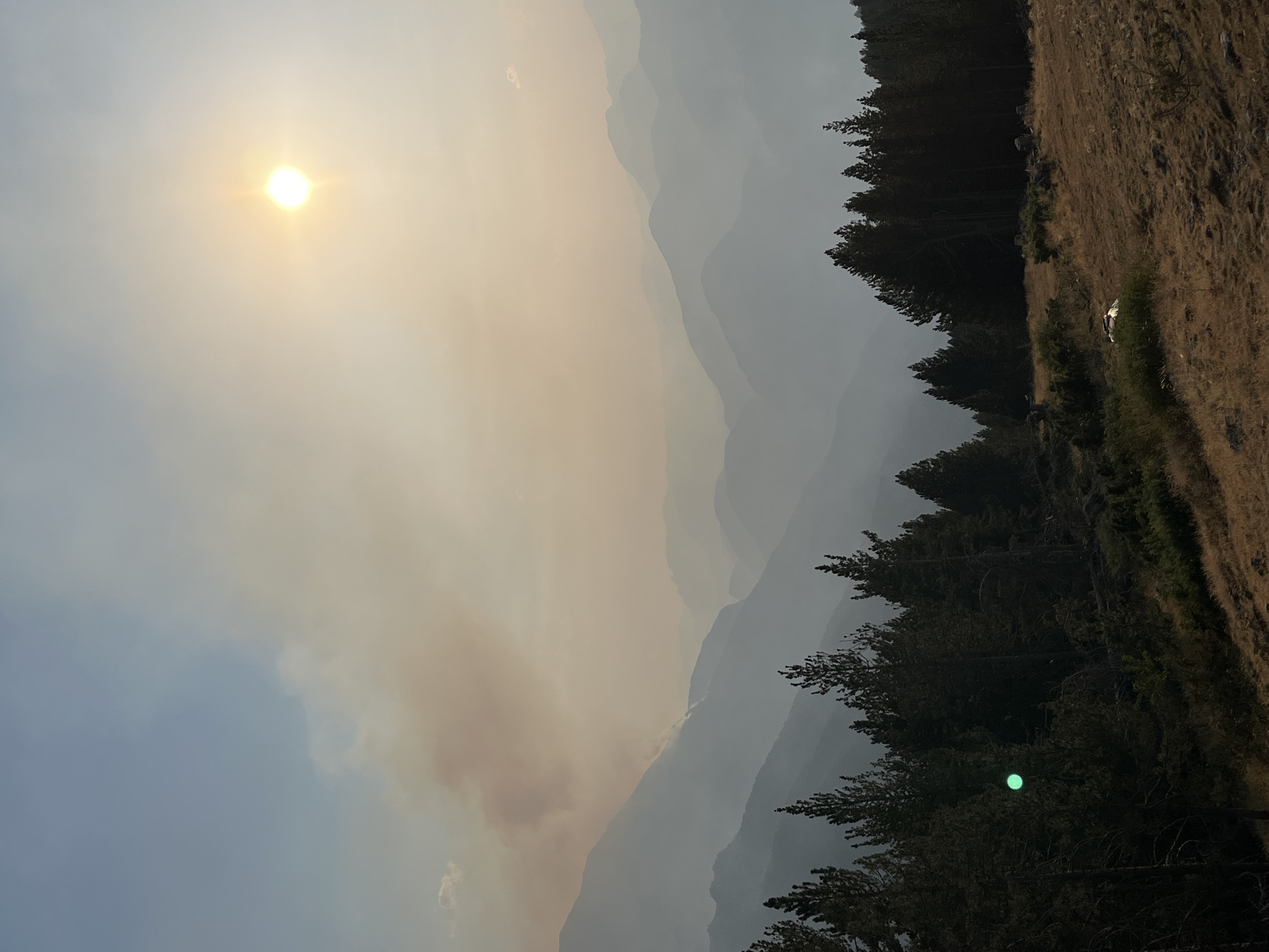 This is a landscape photograph taken in the Pyrenees mountains, likely near San Juan de Plan/San Chuan de Plan, Spain, under hazy skies. The sun, a bright orb, is visible in the upper right quadrant, partially obscured by a smoky haze that also lends a warm, orange tint to the atmosphere. In the background, successive layers of mountains recede into the distance, fading into shades of blue and gray due to atmospheric perspective and the pervasive smoke. A plume of smoke is visible rising from a mountainside in the mid-left of the image, suggesting a wildfire. The foreground is dominated by a dark band of pine trees, their silhouettes sharp against the lighter sky. Below the trees, a dry, grassy hillside slopes downwards, dotted with scrub brush and rocks. A single, bright green circular object, possibly a reflection or light artifact, is present in the trees on the left side of the frame. The overall impression is one of natural beauty marred by the presence of smoke, creating a somewhat dramatic and somber atmosphere.