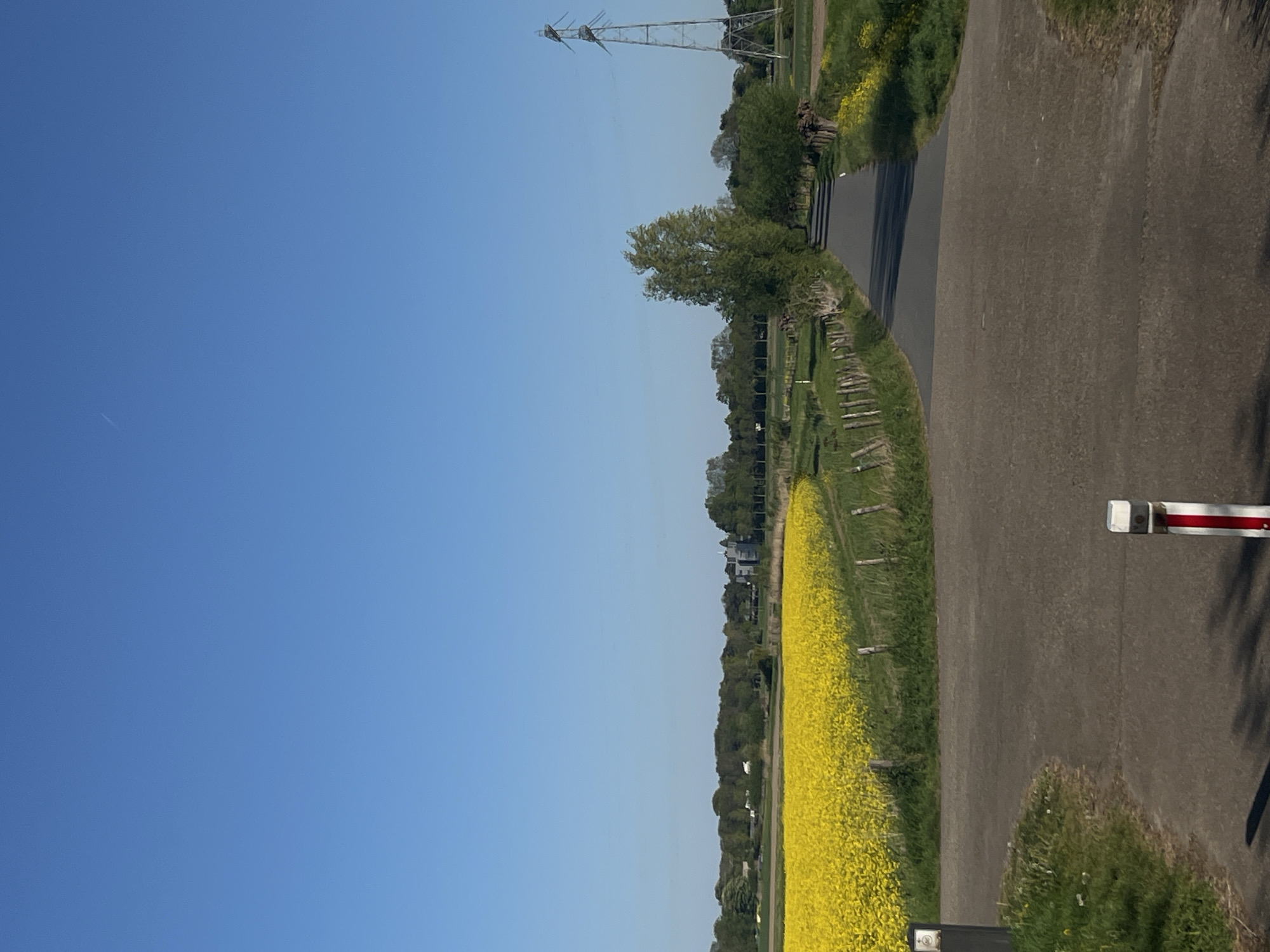 A tranquil, wide-angle landscape shot captures a clear blue sky over an agricultural setting, likely in Hoogvliet, Netherlands. A wide asphalt road or path occupies the right side of the frame, casting shadows that suggest a sunny morning or late afternoon. To the left of the road, a strip of green grass runs parallel, leading to an extensive field of vibrant yellow flowers, characteristic of rapeseed or canola.
In the midground, a line of green trees borders the horizon, with hints of distant buildings visible beyond them. A tall metal lattice structure, resembling a power line pylon, stands prominently in the upper central area, partially obscured by foliage. A faint white contrail from an aircraft is barely discernible in the upper left portion of the sky.
On the far right, a red and white striped barrier post stands at the edge of the road, casting a defined shadow. Near the bottom left, a smaller dark post with a light fixture is also visible. The scene is devoid of people and captures a serene, open expanse of cultivated land under a bright, clear sky. No discernible text is visible.