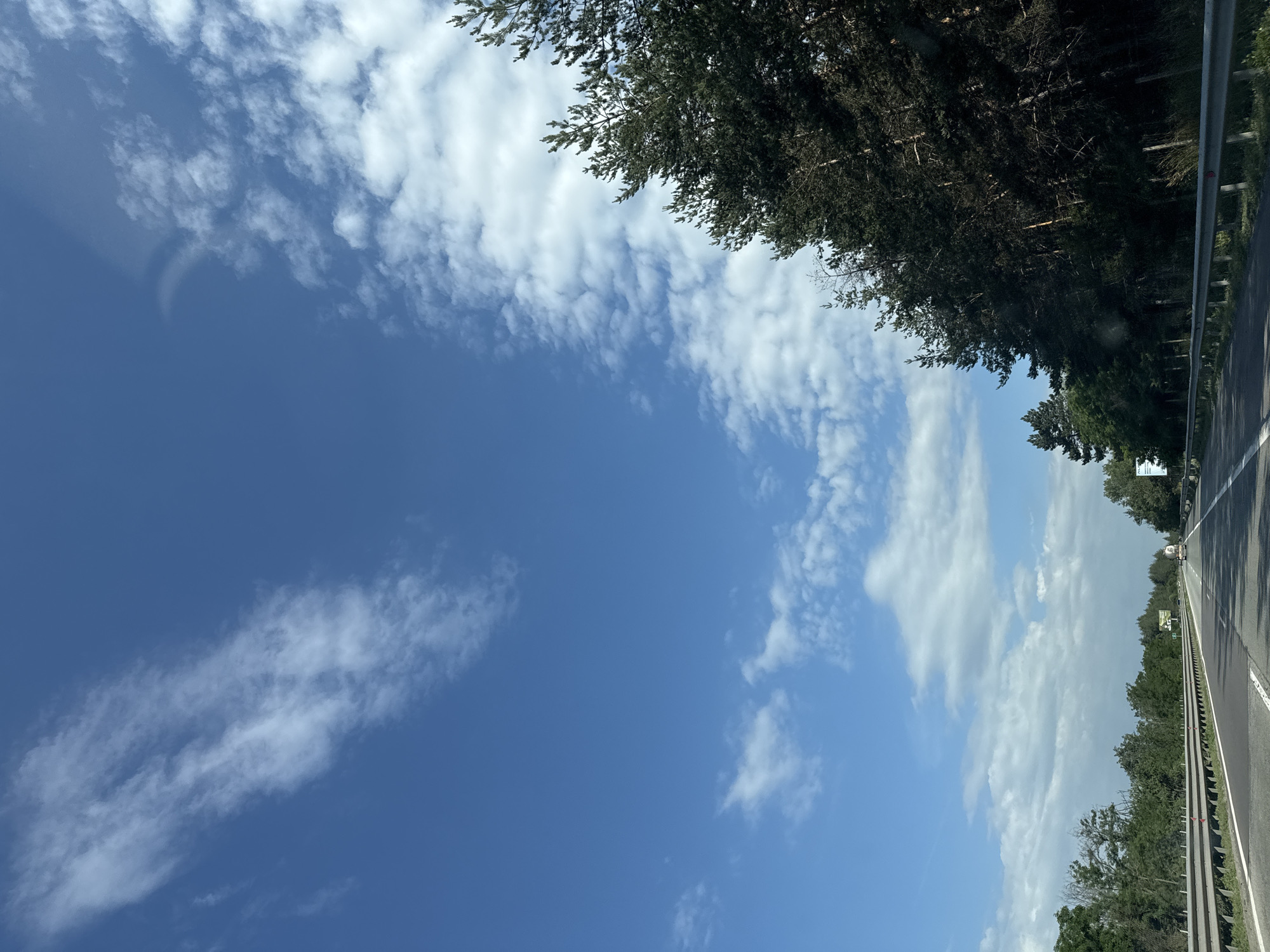 The image depicts a clear blue sky with scattered white clouds, above a highway in the city of Rajana, Bulgaria. Dense green trees line the right side of the highway, with a metal guardrail separating the road from the trees. The highway stretches into the distance, with a truck visible in the far right lane. The road has white lane markings. The overall scene suggests a sunny day, possibly during the daytime. There are no people visible in the image.