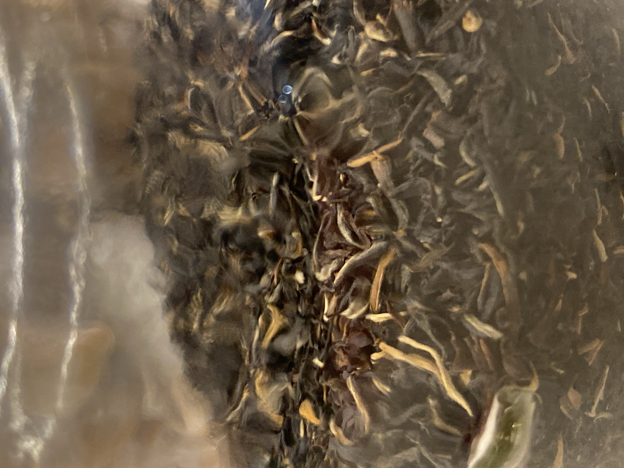 The image shows a close-up view of loose-leaf tea, possibly in a transparent container. The tea leaves appear to be a mix of dark brown and gold. Some condensation is visible on the inside of the container, causing a blurred effect in some areas. The image does not show any evidence related to the city of Budva, Montenegro, nor does it depict any people, actions, or specific interactions.