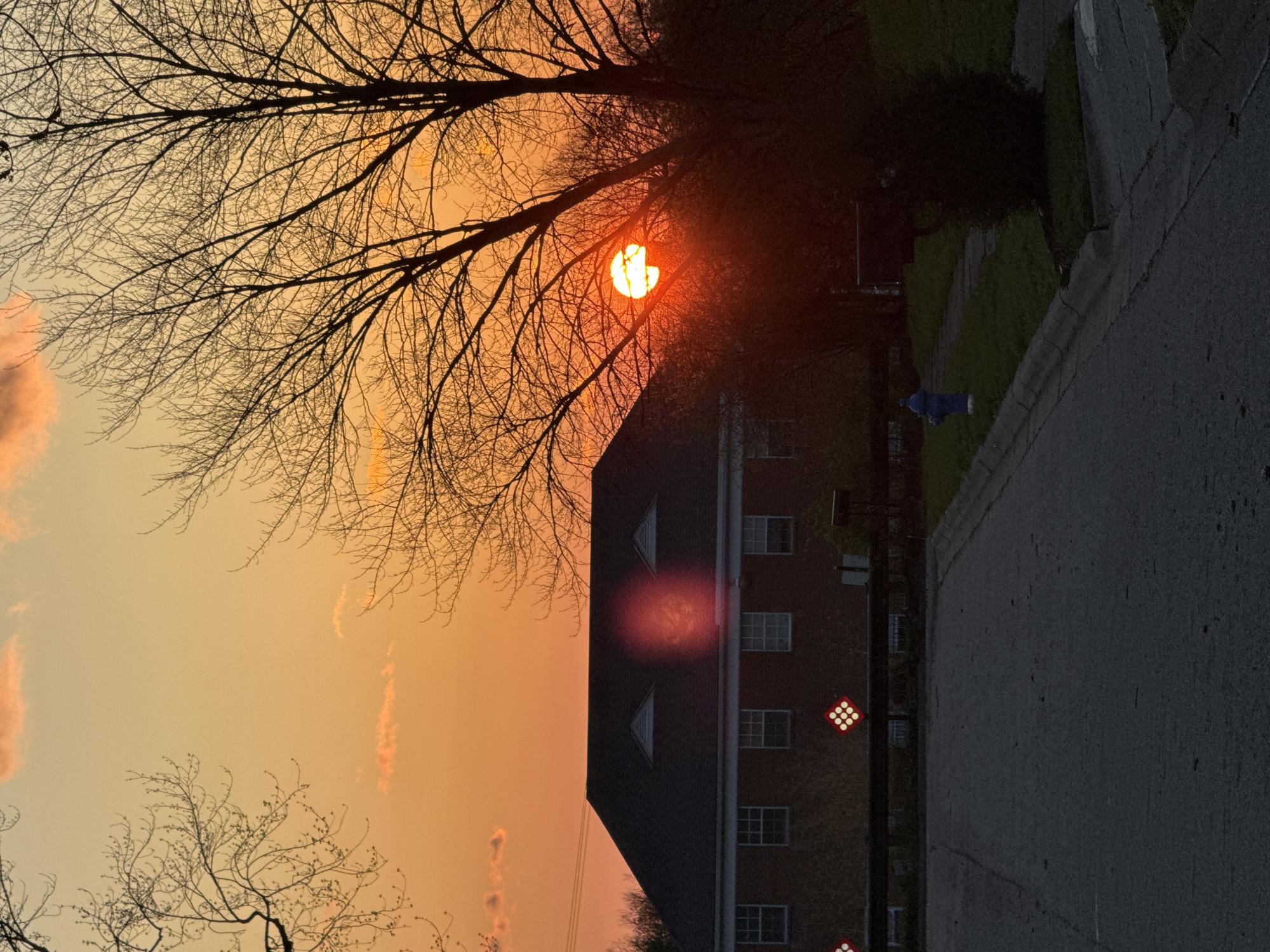 The image depicts a sunset in Worthington, Ohio, USA. A tree with bare branches is silhouetted against an orange sky where the sun is partially obscured by the branches. A brick building with a dark roof and several windows is visible below the tree. A street and a strip of grass run along the right side of the image; a blue fire hydrant is visible on the grass. A building is visible behind the grass. Some lighted diamond warning signs are on the brick building.
