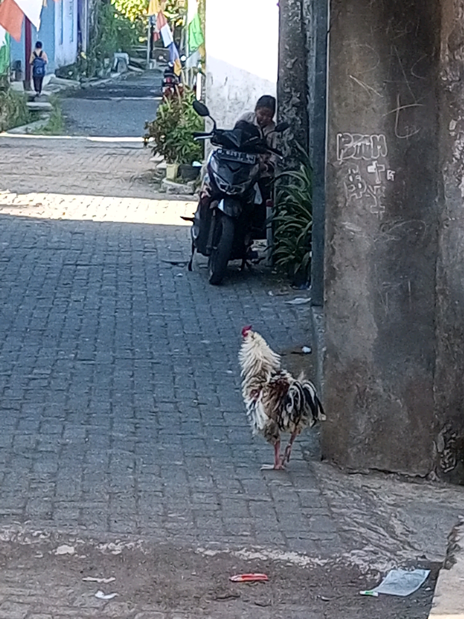 The image depicts a cobblestone street in what appears to be Andongsili, Indonesia. In the foreground, a rooster with white, brown, and black plumage is standing on the street. Behind the rooster, a person is partially visible next to a dark-colored motorcycle. The motorcycle is parked on the street, and its front wheel is visible. To the right of the motorcycle and the person, a concrete pillar with graffiti is present. In the background, a person with a backpack is walking away from the camera down the street, which is lined with buildings and foliage. Several colorful flags are also visible in the background, hanging from wires. The ground is wet in some areas, and there is some litter on the street.