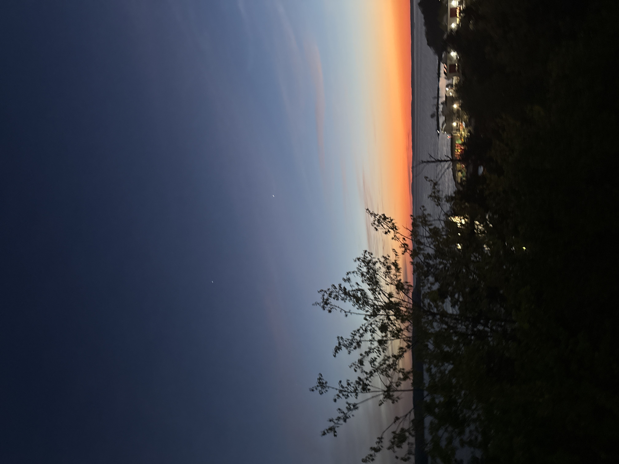 The image depicts a twilight scene in an unknown location. The sky transitions from dark blue to orange above a body of water, with reflections of lights visible. In the foreground, tree branches are silhouetted against the colorful sky. Along the shoreline, lights suggest a developed area, possibly a town or city. The right side of the image is dominated by dark foliage.