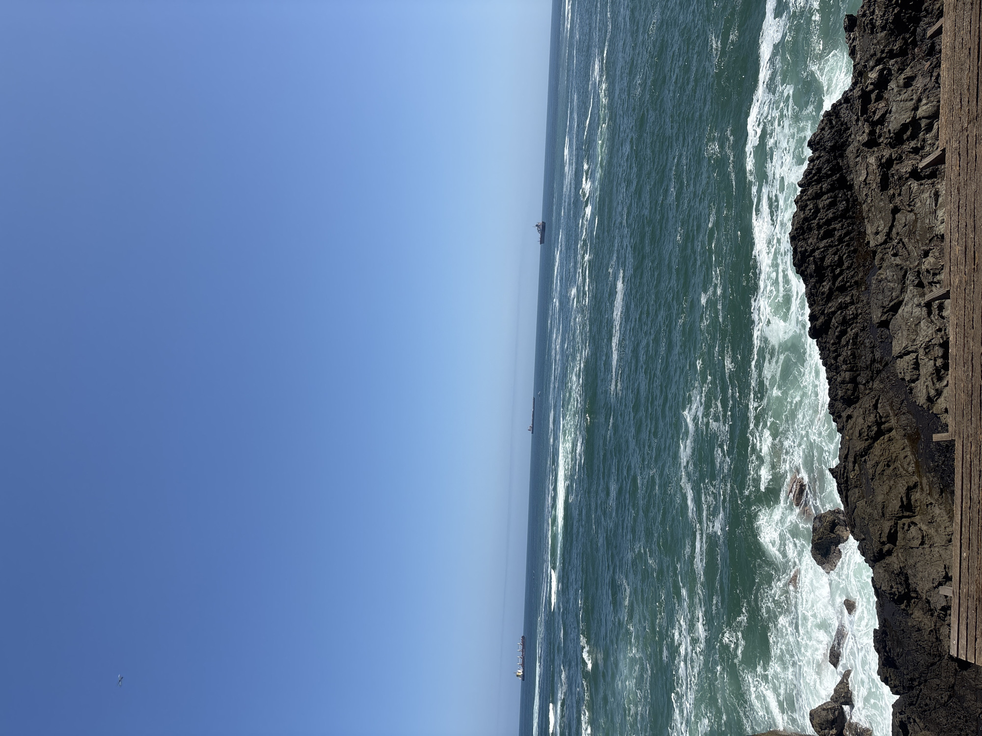 The image presents a panoramic view of the Pacific Ocean under a brilliant, cloudless blue sky, likely captured from a high vantage point along the coast of Arica, Chile. The upper left half of the frame is filled with the vast expanse of the clear sky, showing a gradient of blue from darker overhead to lighter at the horizon.
The ocean dominates the right and lower portions of the image, displaying deep blue-green hues and a dynamic surface. Numerous white-capped waves and areas of sea foam are visible, especially closer to the shore where the water appears more turbulent. Several dark silhouettes of what appear to be large cargo ships or vessels are scattered along the distant horizon line, suggesting maritime traffic.
On the far right, a rugged, dark rocky coastline descends into the crashing waves. The texture of the rocks is clearly visible, and white foamy water surges against them. A section of a wooden structure, possibly a weathered walkway, railing, or pier, runs vertically along the extreme right edge, indicating a man-made feature overlooking the sea.
The bright illumination suggests a clear, sunny day, likely midday, with no shadows indicating specific time. A very small white speck, possibly a bird, can be observed in the lower left section of the sky. There is no visible text in the image. The scene conveys the immense scale and natural power of the ocean meeting the land.