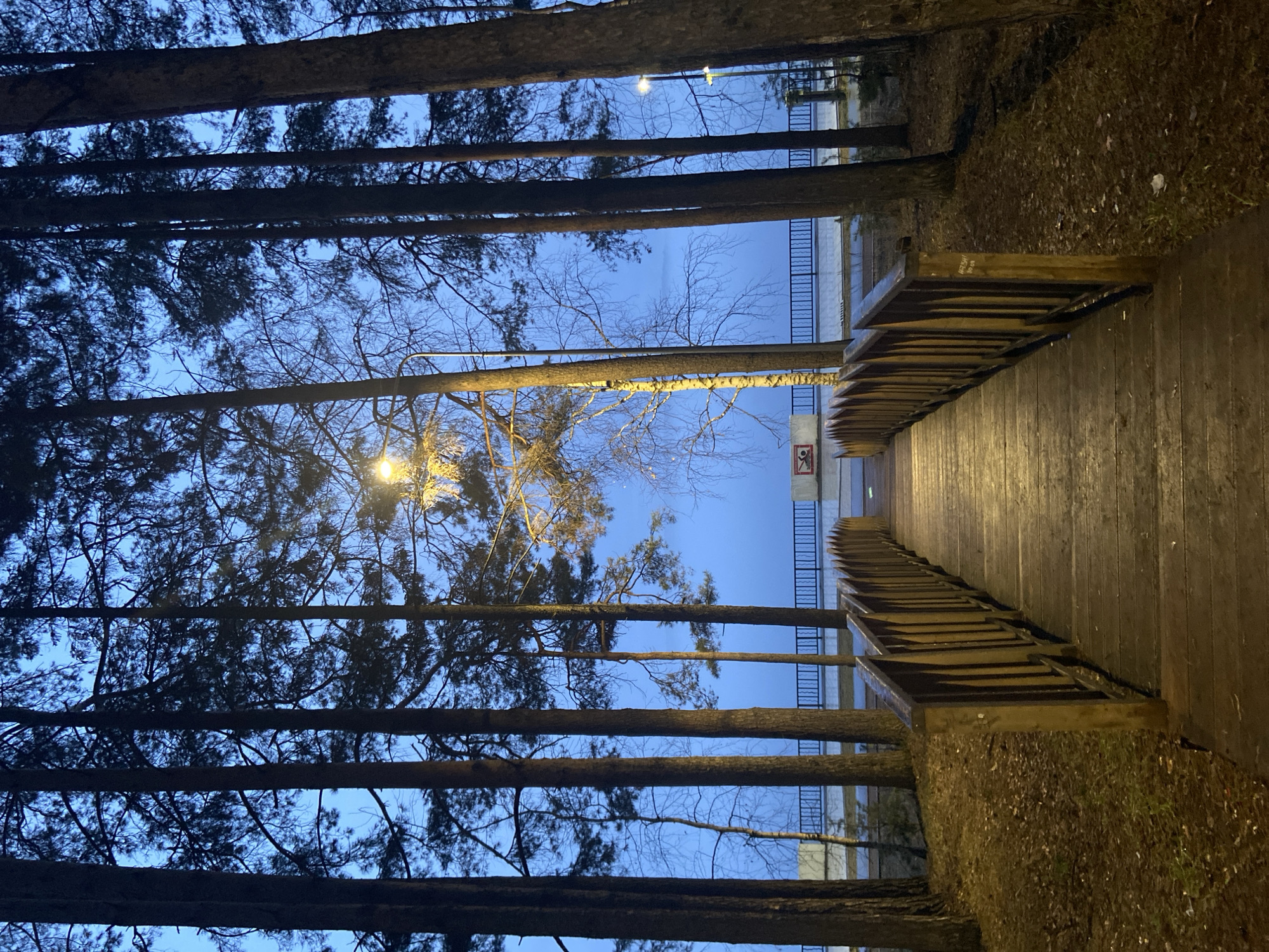 The image shows a wooden pedestrian bridge in Chaikovsky, Russia, viewed from a low angle, looking towards an open area with a building. Tall pine trees line both sides of the bridge, creating a framed perspective. The sky is visible between the trees, indicating a dusk or twilight setting. A street light illuminates the bridge and the surrounding foliage. The wooden structure of the bridge is visible, with railings on both sides. Debris can be seen to the sides of the bridge. In the distance, there is a building with a dark metal railing system. A sign is visible on the distant building.