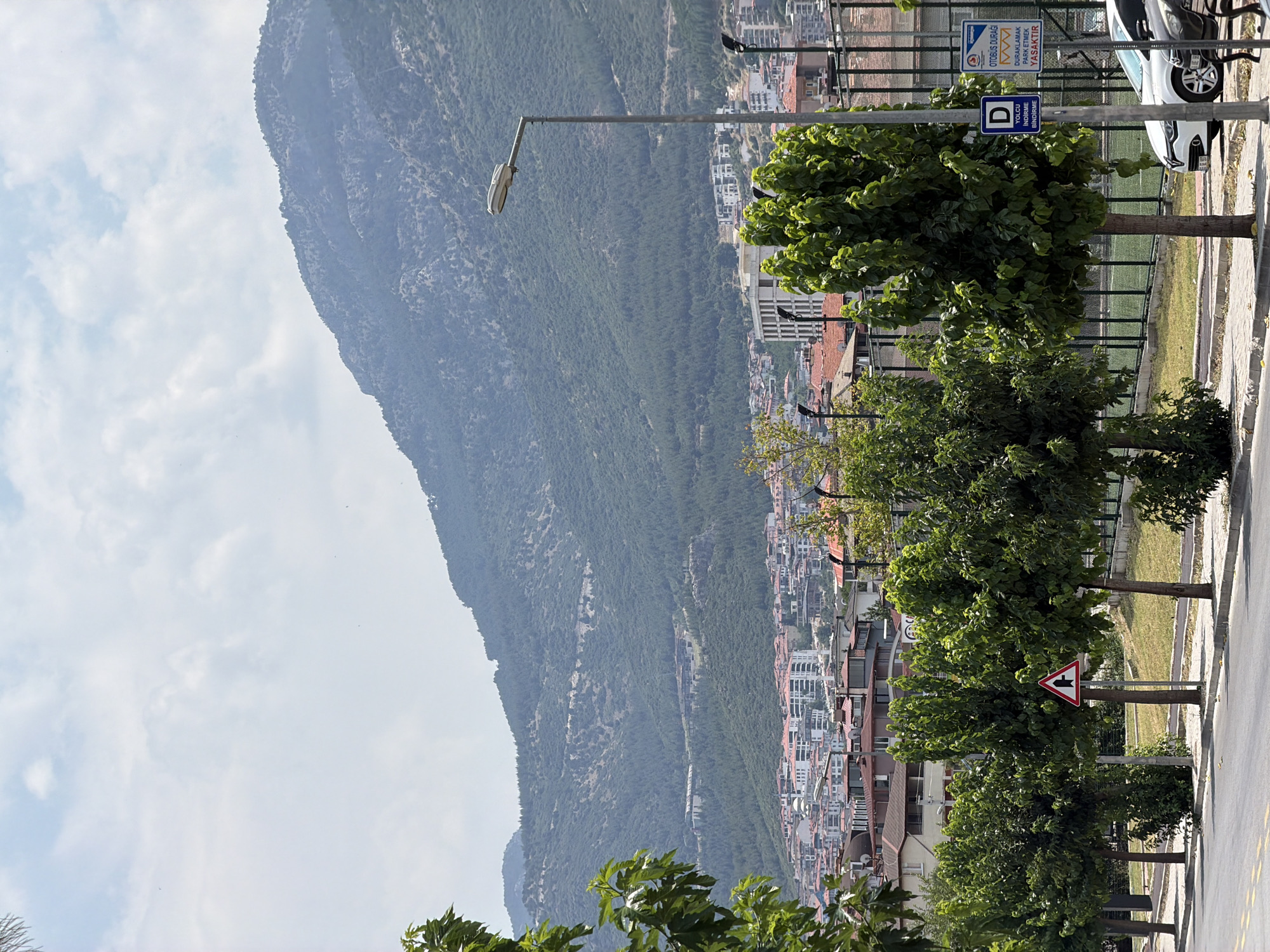 A street view in Denizli, Turkey, shows a wide street with a yellow dividing line and a concrete sidewalk. Trees line the sidewalk, casting shadows on the pavement. Beyond the trees, a chain-link fence encloses a grassy area and what appears to be a sports field. In the background, a city with red-tiled roofs and white buildings sprawls across a hillside, leading up to a large, tree-covered mountain under a cloudy sky. A street lamp stands tall on the sidewalk, and several traffic signs are visible, including a warning sign indicating a right turn ahead and a blue sign with a white "D" indicating a passenger drop-off zone. Two cars are parked on the street. The overall scene depicts a typical urban environment nestled against a natural mountainous backdrop.