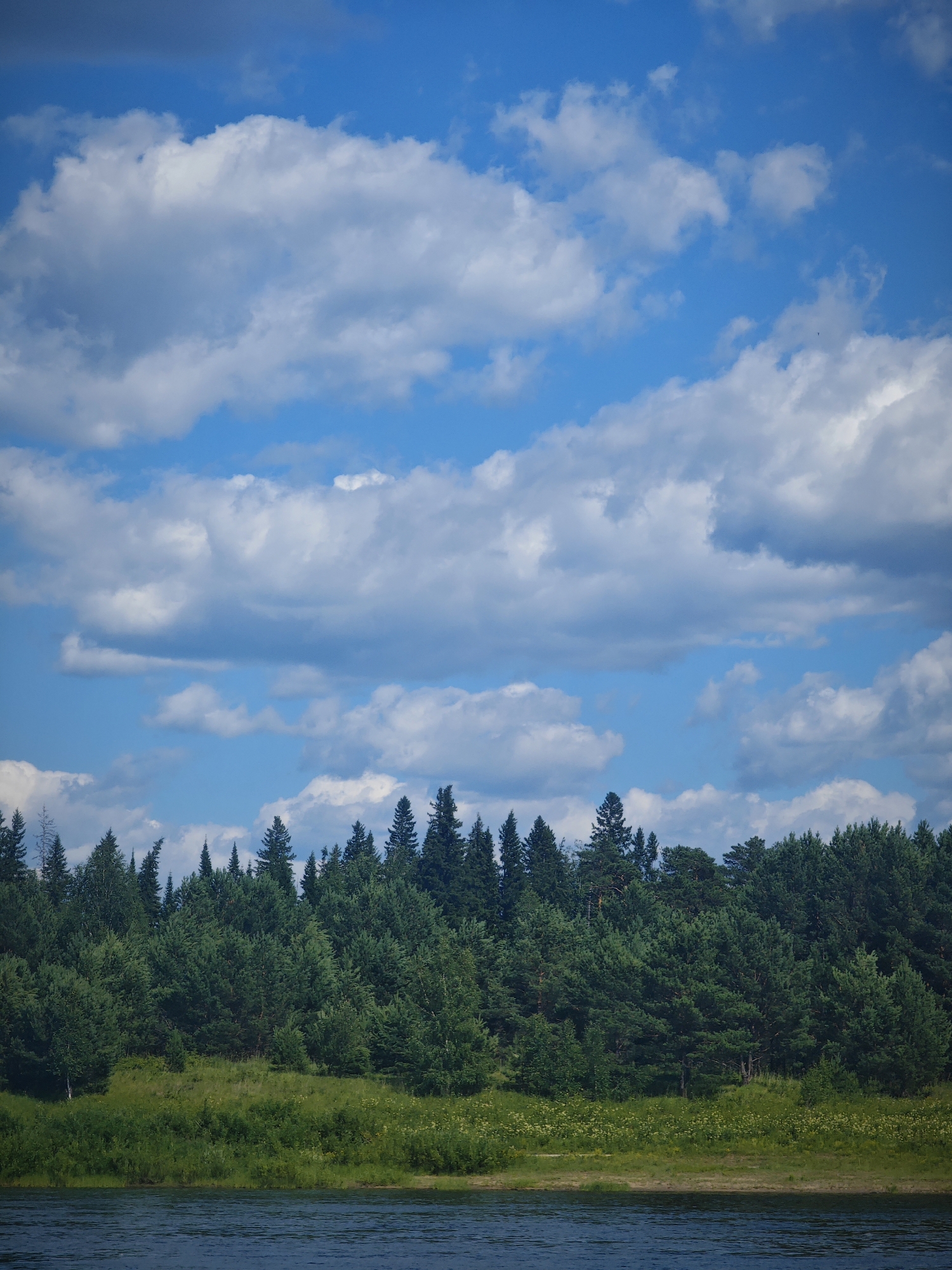 The image depicts a serene natural landscape under a partly cloudy blue sky. In the foreground, a dark, rippling body of water, likely a river, dominates the lower portion of the frame. Beyond the water, a lush green bank is visible, covered in dense vegetation, including tall grasses and scattered wildflowers. This embankment leads to a thick forest of coniferous trees, forming a dark green wall against the horizon. The trees are varied in height and density, with some taller pines interspersed with smaller evergreen species. The sky above is a vibrant blue, populated by large, fluffy white clouds that cast soft shadows, suggesting a sunny day. The scene appears to be a tranquil natural setting, devoid of any human presence or man-made structures. This scene could be located in the vicinity of Abalakovo, Russia, a region known for its natural beauty and extensive forests, possibly along the Irtysh River.