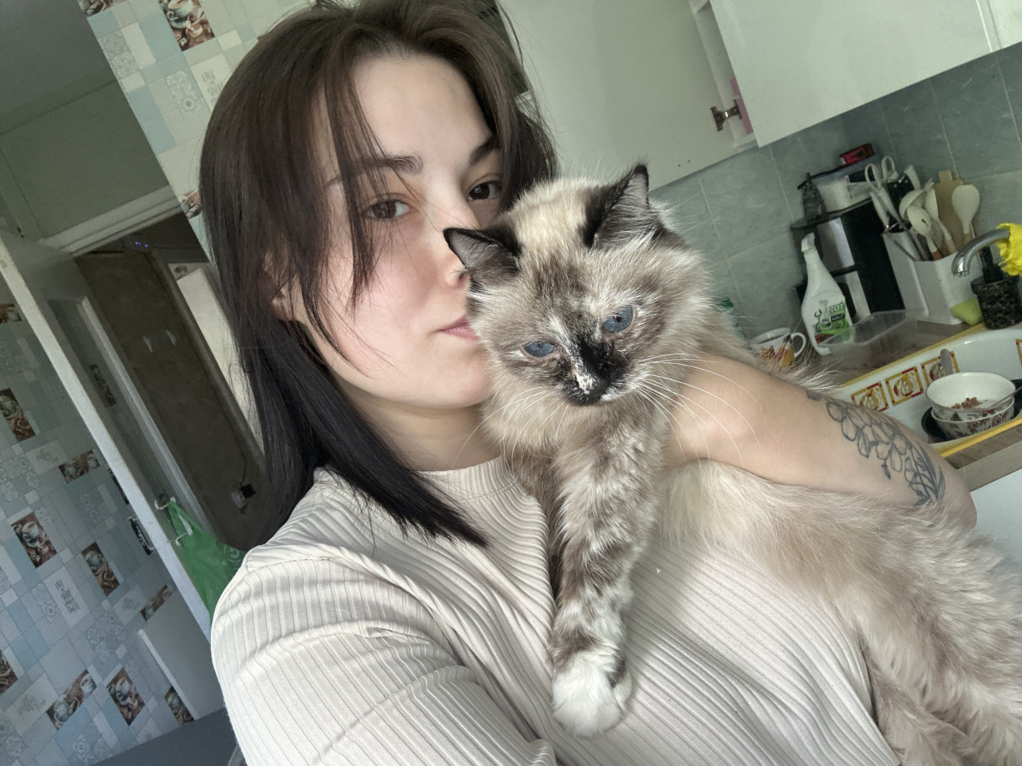 A woman with dark hair is holding a fluffy cat with blue eyes and black markings on its face and ears. The woman is wearing a light-colored, ribbed shirt. The cat is resting on her arm and chest. In the background, there is a kitchen area with cabinets, a sink, and various kitchen items. The wallpaper has a light blue and white tiled pattern. The scene appears to be indoors, in a residential setting, possibly an apartment in the city of Chaikovsky, Russia.