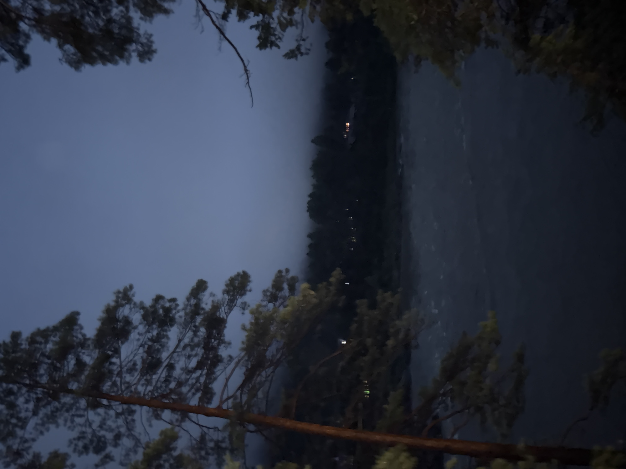 The image shows a dimly lit, eerie scene at dusk, possibly near Barangol, Russia. The foreground is dominated by the dark silhouettes of pine trees, their branches reaching towards a muted, hazy sky. Beyond the trees, a body of water, likely a river or lake, is visible, its surface disturbed by gentle ripples. In the distance, a dense forest lines the far bank, shrouded in fog. Scattered lights from what appear to be houses or buildings can be seen amidst the trees, offering a faint glow against the encroaching darkness. The overall atmosphere is one of quiet isolation and twilight mystery.