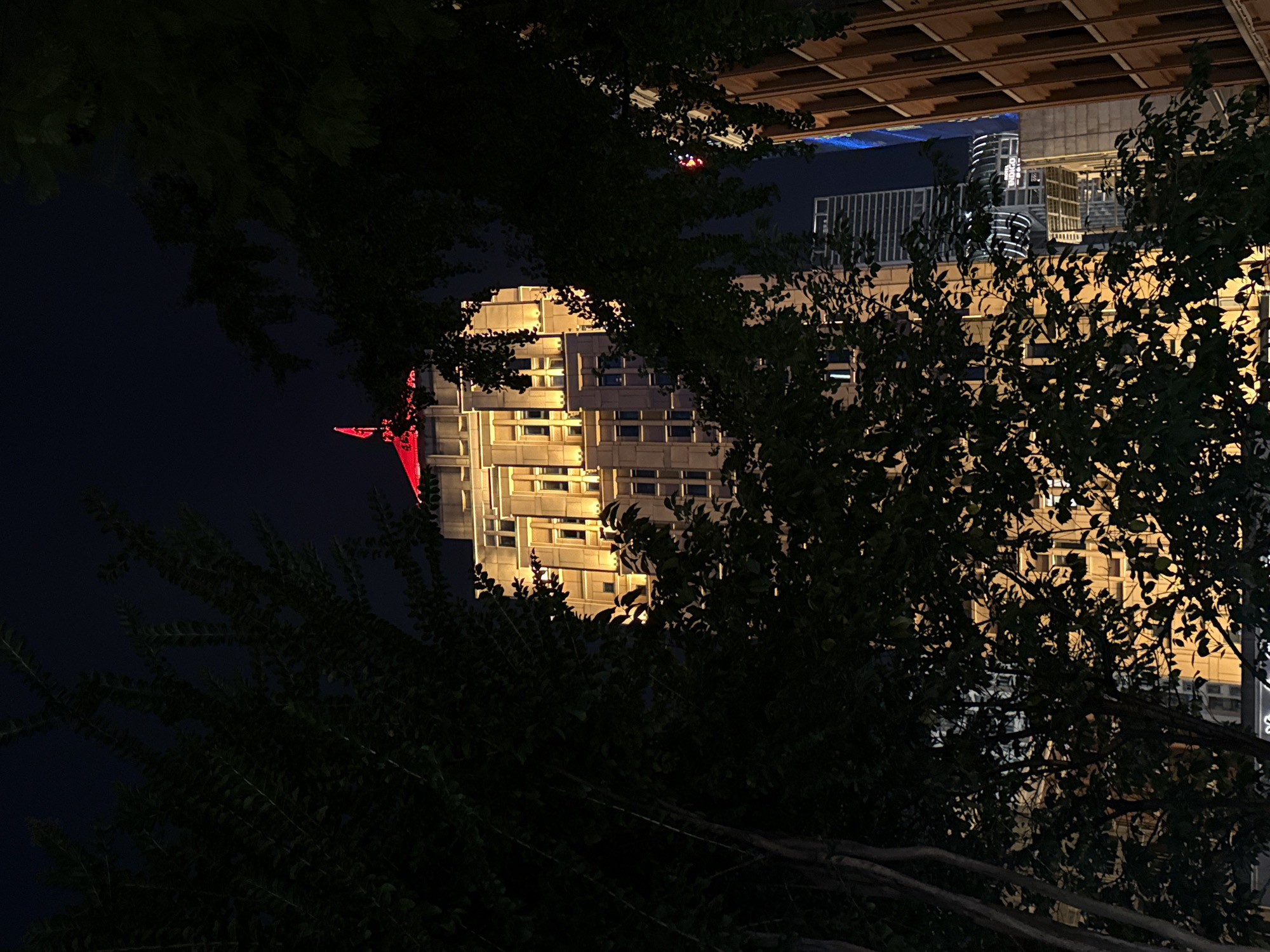 A night time, vertical shot captures a tall, illuminated building with a red-lit pinnacle and flag, framed by dark foliage in the foreground. The building, likely in Yuzhong District, China, features rows of rectangular windows, with many windows lit with a warm, yellow light. To the right of the central building, a section of a brown building with dark windows is visible. In the background, other modern buildings with intricate lighting patterns and a tall, slender skyscraper are partially obscured by trees and shadows. The overall ambiance is that of a cityscape at night, with the illuminated architecture contrasting with the darkness and the natural elements of the trees. There are no people visible in the image.