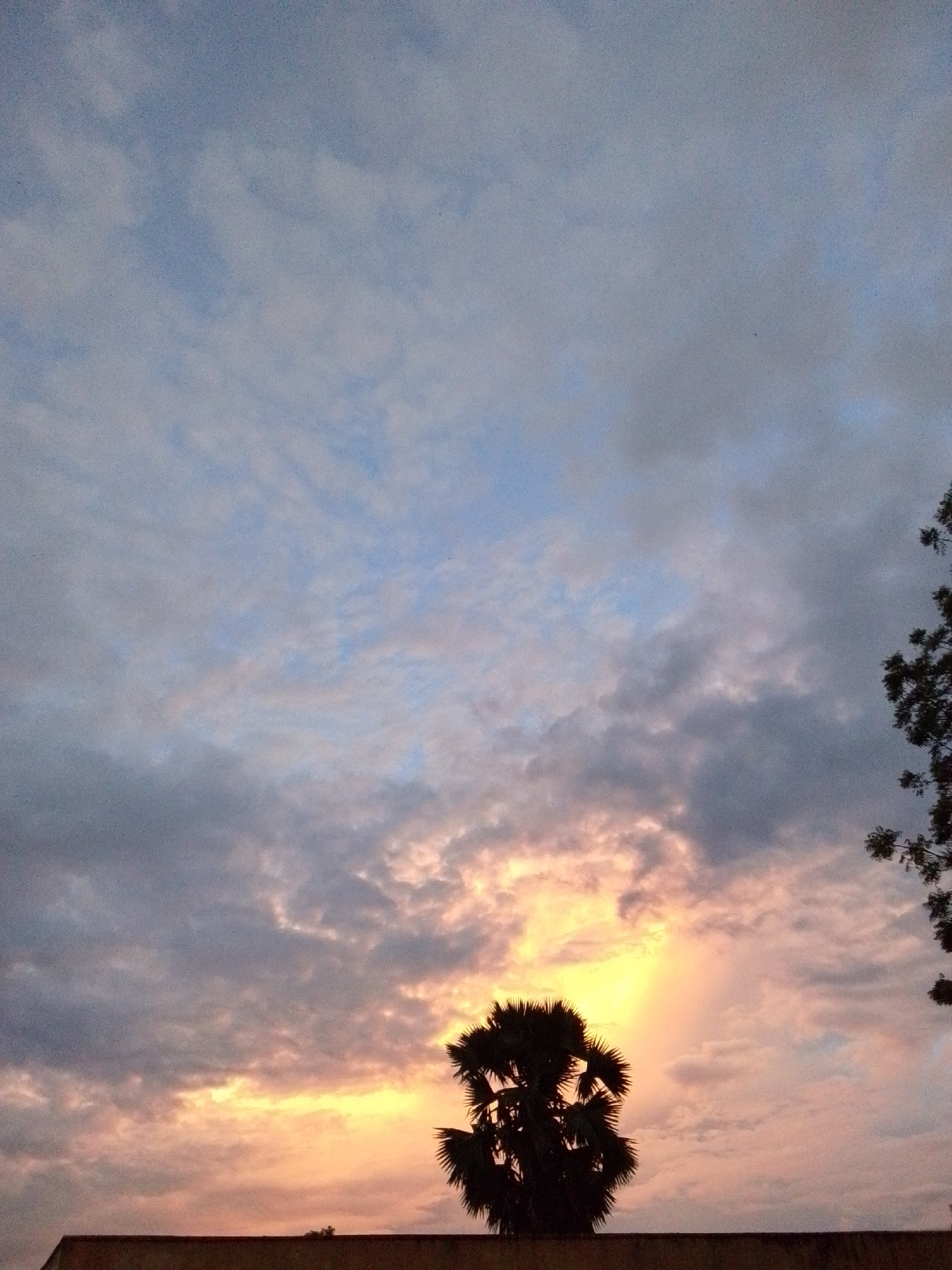 A low-angle, medium shot captures a dramatic sunset over Serti, Nigeria. The sky is a canvas of soft blues transitioning to oranges and yellows as the sun dips below the horizon, peeking through a break in the dark, heavy clouds. Silhouetted against the vibrant sky, a lone palm tree stands starkly in the center, its fronds spread wide. To the right, the dark silhouette of another tree, likely a larger one, is visible, its branches reaching towards the sky. In the foreground, a simple, flat-topped concrete structure runs horizontally across the bottom of the frame, its muted brown color contrasting with the dynamism of the sky. No people are visible in the frame.