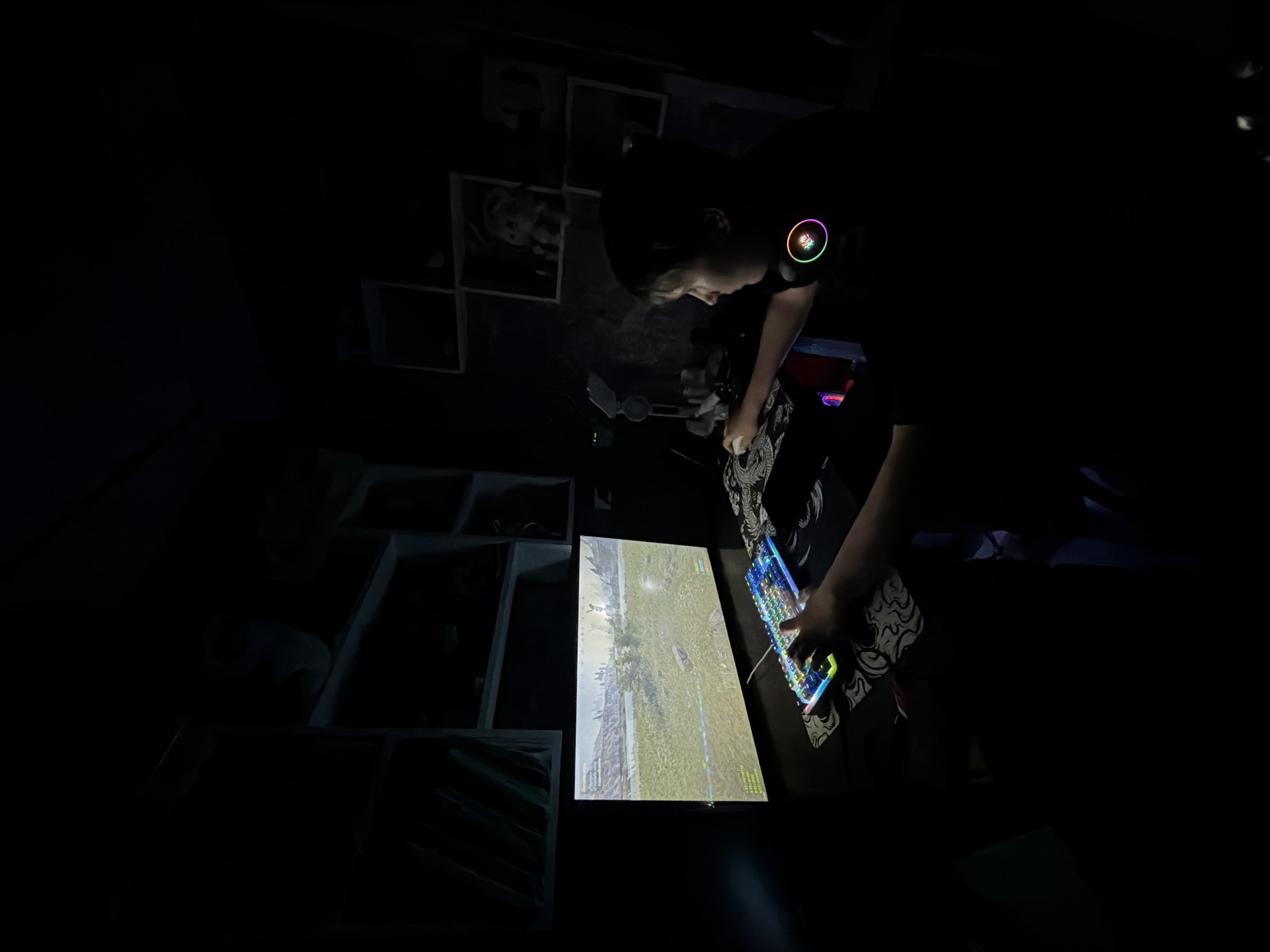 A person wearing headphones with illuminated earcups is illuminated by a monitor screen in a dark room. The monitor displays a video game with a grassy landscape. A brightly lit keyboard sits to the right of the monitor. The person's hands are on the keyboard. Behind the person are framed images on the wall, and to the left of the monitor is a wall-mounted shelf unit. The image does not show enough detail to identify the city of Nizhnii Vishur, Russia.