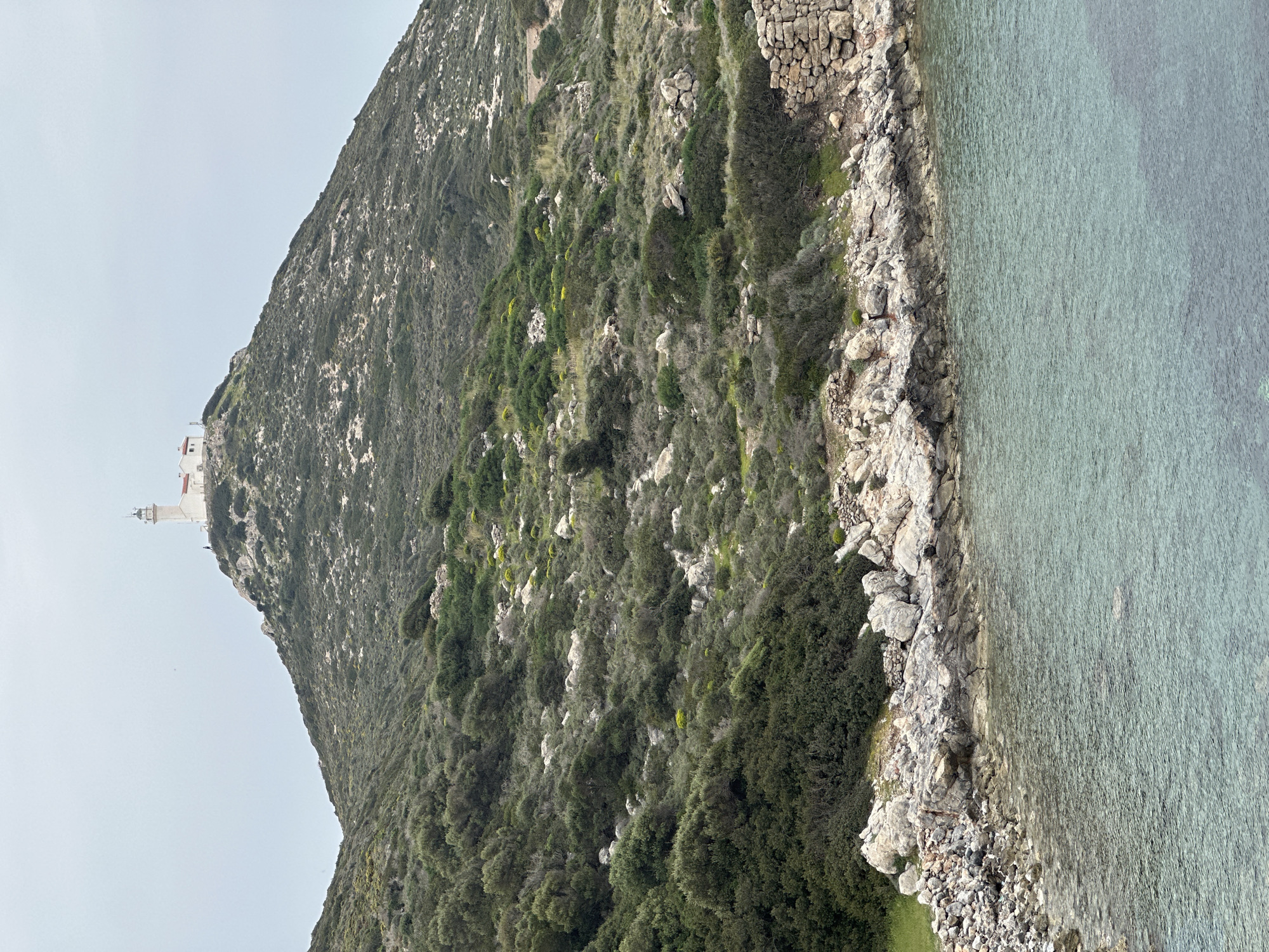 This image captures a serene coastal landscape in Datça, Turkey, featuring a verdant, rocky hillside descending to a clear, turquoise sea under an overcast sky.
The main subject is a large, steep hill or mountain, densely covered in various shades of green, scrubby vegetation, interspersed with exposed grey and white rock formations. Towards the summit of the hill, a prominent white building complex, resembling a lighthouse or a small chapel, stands out against the muted sky. It features a distinctive tower and other white structures adjacent to it.
The base of the hill meets the water with a rugged, rocky shoreline. This coastline consists of a mix of large, jagged rocks and smaller pebbles, with patches of green grass and resilient plants growing among the stones.
The sea, occupying the right side of the frame, is remarkably clear and calm, revealing a beautiful light turquoise hue. The clarity of the water suggests a shallow depth near the shore. The surface shows gentle ripples, indicating minimal wind.
There are no people or specific activities depicted in the photograph. The scene is a natural landscape, peaceful and undisturbed. The soft, diffused lighting, resulting from the overcast sky, suggests it is daytime, possibly morning or afternoon. There is no visible text in the image. The overall impression is one of natural beauty and tranquility in a Mediterranean coastal environment.