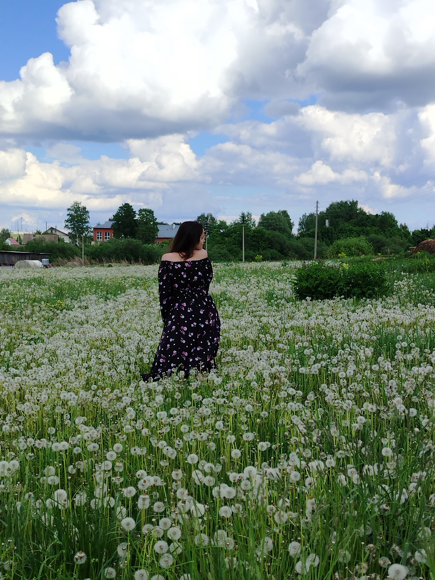 A woman stands in a field of dandelions in Гожан, Russia. She is wearing a dark, off-the-shoulder dress with a floral pattern. The field is filled with white dandelion seed heads. In the background are trees and buildings, partially obscured by the field. The sky is blue with puffy white clouds.