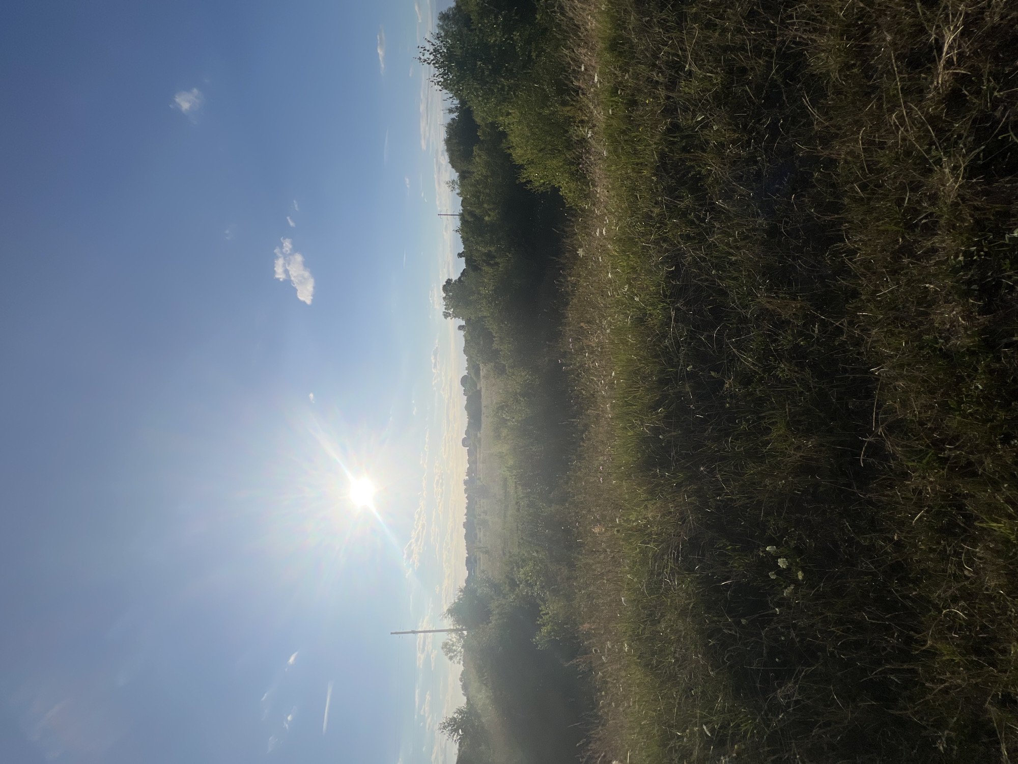 The image captures a bright, sunny day in a rural landscape, likely near Sobishchytsi, Ukraine. The sun is high in the clear blue sky, casting a strong glare and creating sunbeams that radiate outwards. A few wispy clouds are scattered across the sky. In the foreground, tall, dry grass and some small white wildflowers are visible, indicating a meadow or uncultivated field. Beyond the foreground, a line of green trees and bushes stretches across the midground, with a tall utility pole standing to the left. In the distance, the landscape appears flatter, with more trees and possibly some structures visible through the haze. The overall impression is one of a natural, open outdoor setting under strong daylight.