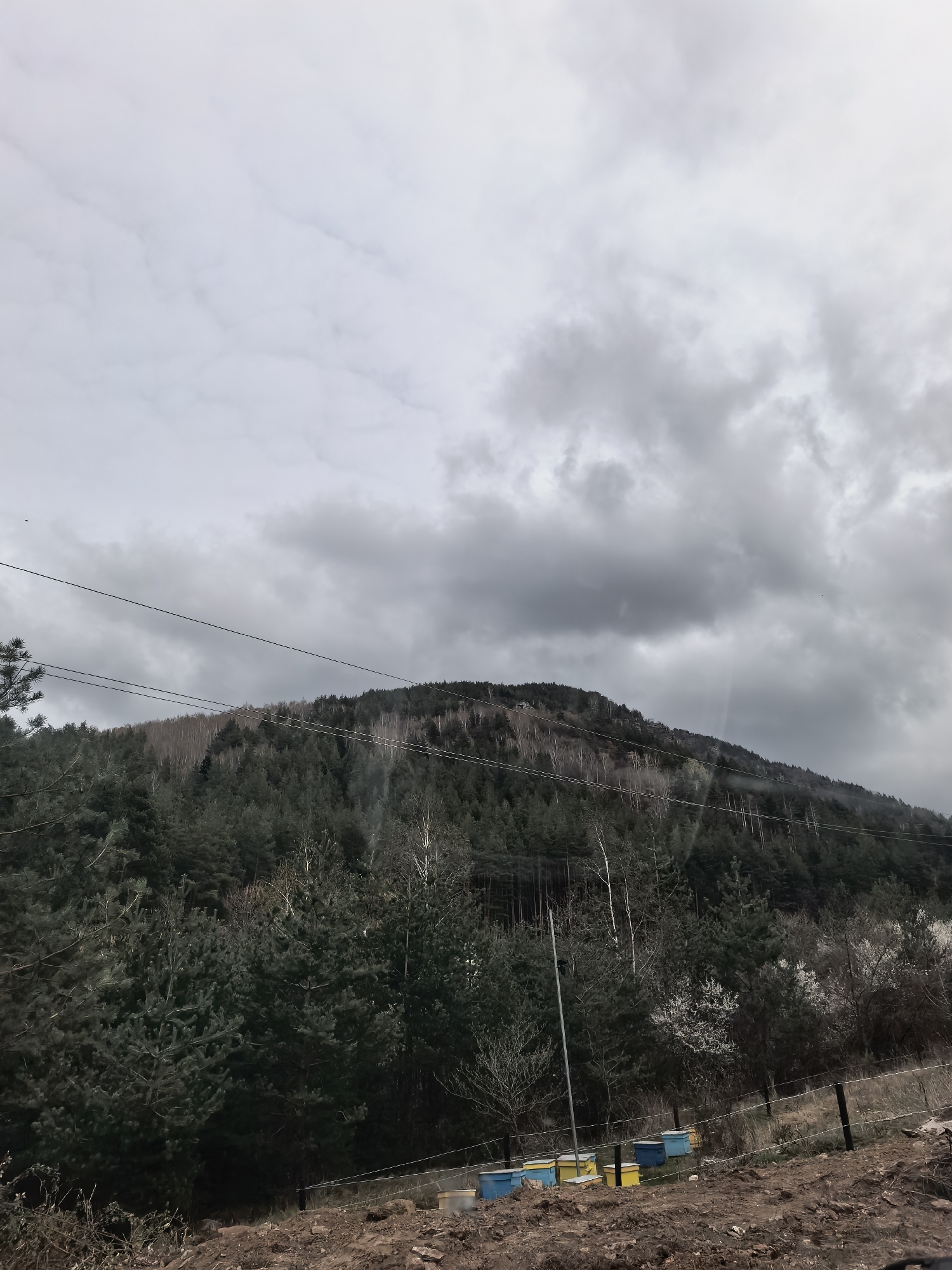 The image captures a rural, forested landscape under an overcast sky. A large, dark green mountain or hill covered in dense evergreen trees dominates the background, with some bare deciduous trees interspersed, particularly on the upper slopes, suggesting late winter or early spring. Several utility lines stretch horizontally across the mid-ground, passing over the forested hillside.
The sky above is heavily clouded with various shades of grey, indicating an overcast or possibly pre-stormy day, but no rain is visible. The light is diffused and soft. In the foreground, the ground is composed of reddish-brown, uneven earth, possibly a dirt path or recently disturbed soil.
To the lower right, a small apiary is visible, featuring several colorful beehives in shades of blue and yellow, resting on the ground. A simple wire fence with posts runs diagonally across the lower right, separating the immediate foreground from a patch of dry grass and more trees. Among these foreground trees, some are bare, while others show white blossoms, further reinforcing the impression of early spring. No people are visible, and no discernible activity beyond the presence of the beehives is taking place. There is no visible text.