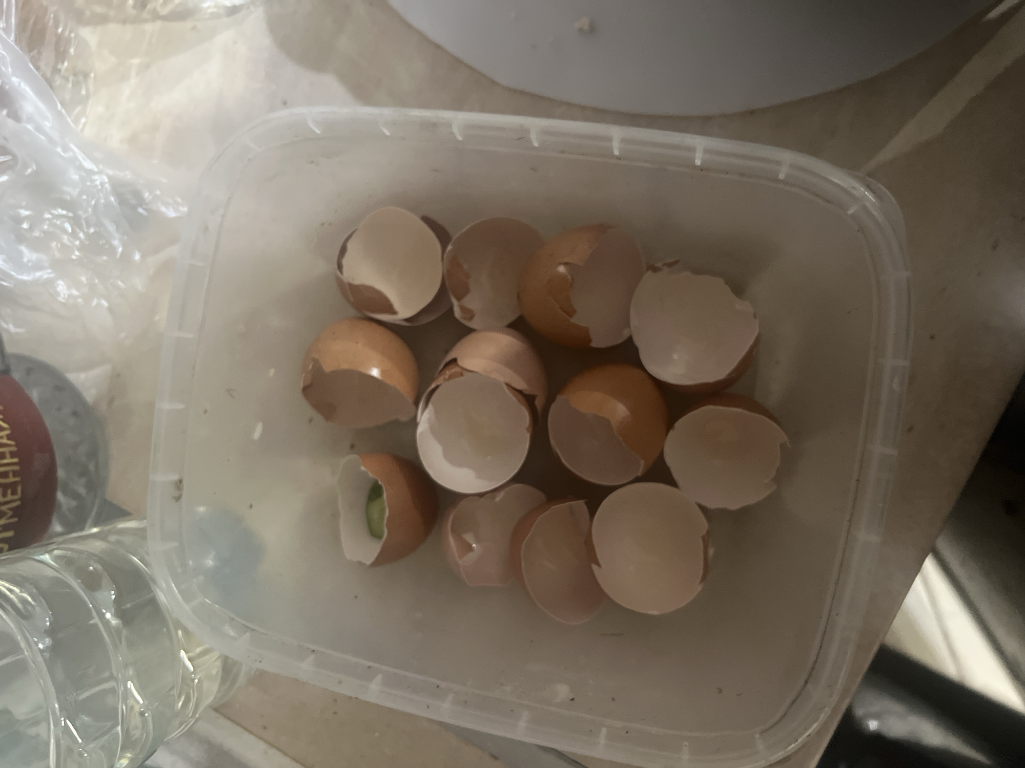 The image shows a clear plastic container filled with numerous broken eggshells. The eggshells are light brown and white, and many are cracked into multiple pieces. One eggshell at the top of the container has a small piece of green vegetable inside it. The container is placed on a light-colored, possibly wooden, surface. In the background, a partially visible plastic bottle filled with a clear liquid can be seen, along with a blurry white plastic bag and another dark-colored object. The overall lighting suggests an indoor environment. There are no people visible in the image. The location is not specified in the image itself, and therefore, a connection to the city of Трещиха, Russia cannot be established.