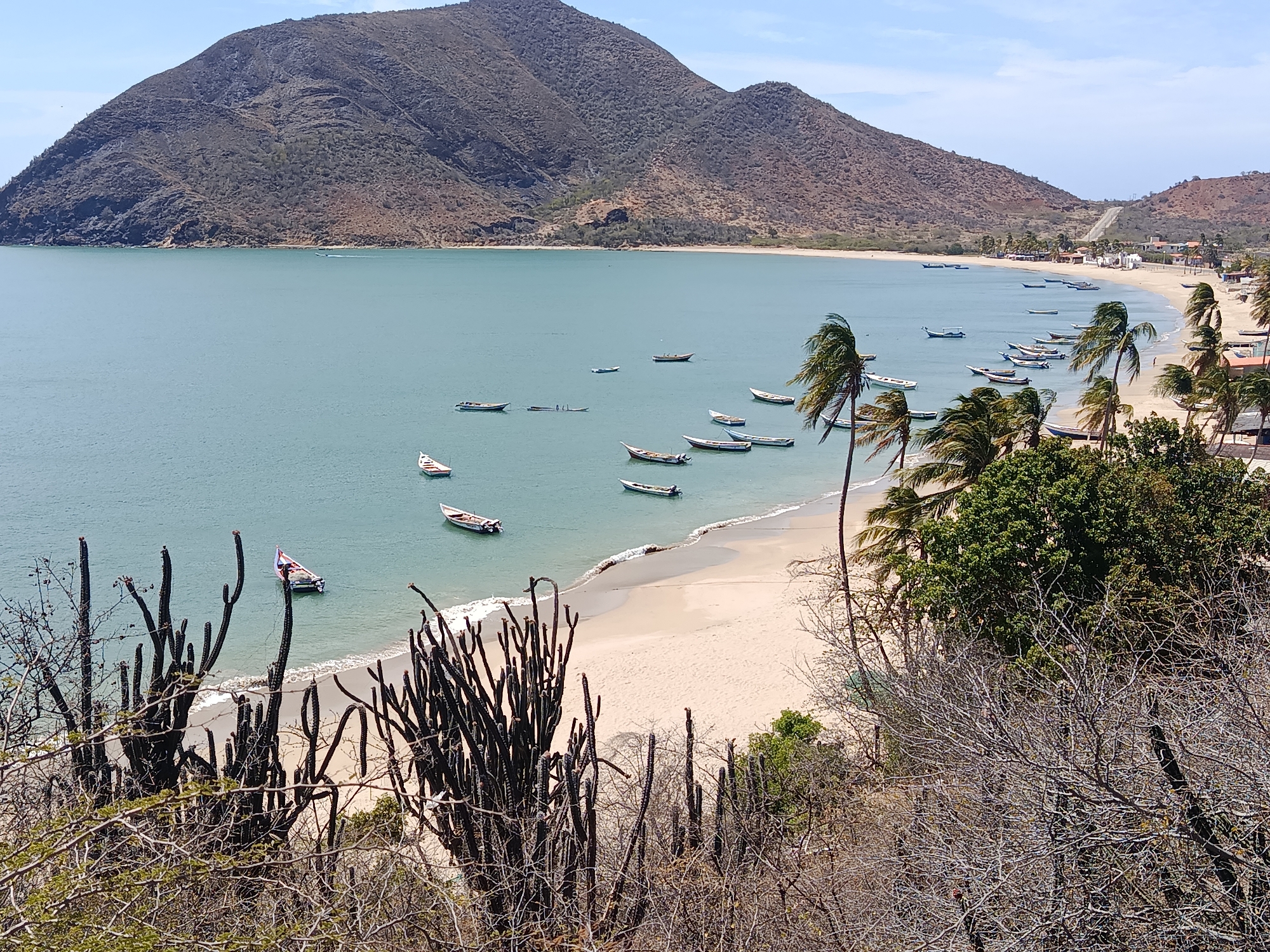 The image shows a coastal scene at Juan Griego, Venezuela. A large, mountainous landmass borders a bay filled with approximately 20 small boats. The shoreline is sandy with a line of palm trees and buildings visible in the distance. In the foreground, desert vegetation including cacti and scrub brush are seen. The water is turquoise with a white sand beach. The sky is light blue with scattered clouds.