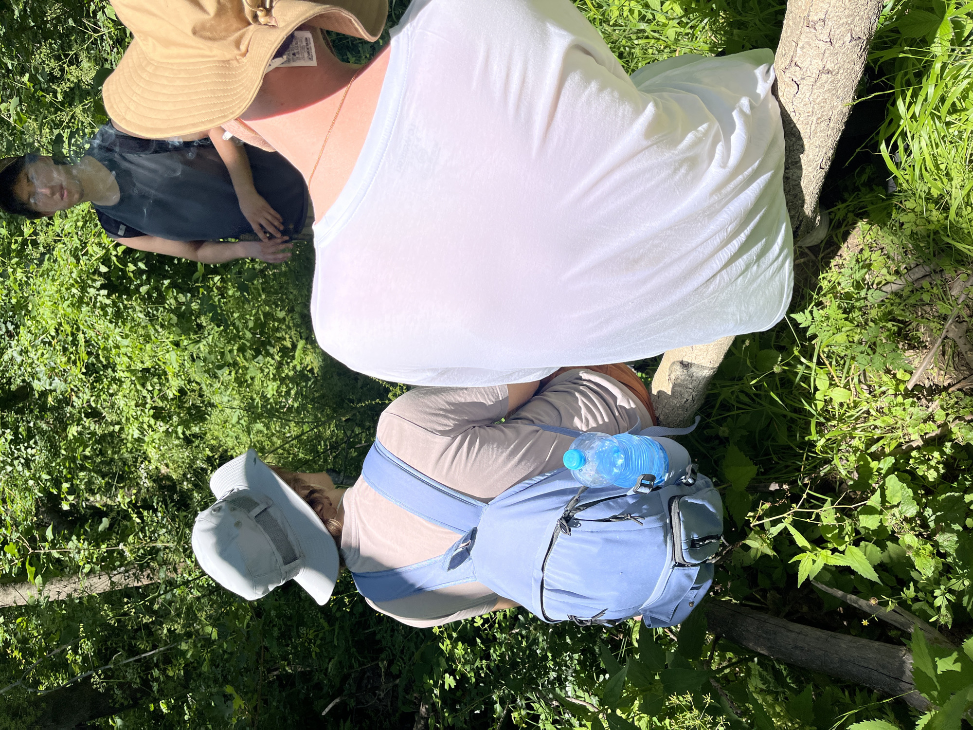 Three individuals are seated on a fallen tree trunk in a wooded area, likely in Petrovac-na-Mlavi Municipality, Serbia. Sunlight filters through the dense green foliage, illuminating the scene.
On the left, a person wearing a light-colored bucket hat and a light pink t-shirt with a light blue backpack is seen from behind. A plastic water bottle is attached to the backpack. To the right of this individual, another person, facing away from the camera, is wearing a white t-shirt and a tan sun hat. In the background, a third person, wearing a dark tank top and a baseball cap, stands and appears to be smoking, with visible smoke. The ground is covered in lush green grass and smaller plants, with several fallen branches scattered around. The overall atmosphere is casual and outdoorsy.