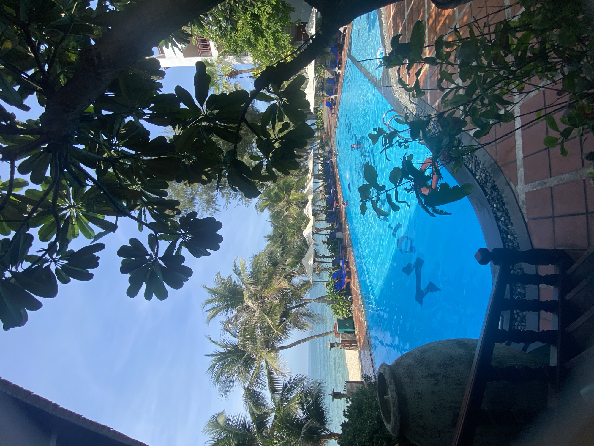 The image depicts a vibrant poolside scene at a tropical resort in Phu Thuy Ward, Vietnam. A large, crystal-clear blue swimming pool dominates the foreground, with several people swimming and lounging. Palm trees line the edge of the pool, leading to a sandy beach and the ocean in the background. Umbrellas and lounge chairs are scattered around the pool area, suggesting a relaxing atmosphere. The architecture of the resort, with its white building and balconies, is visible behind the palm trees. The overall impression is one of a tranquil and luxurious holiday destination.