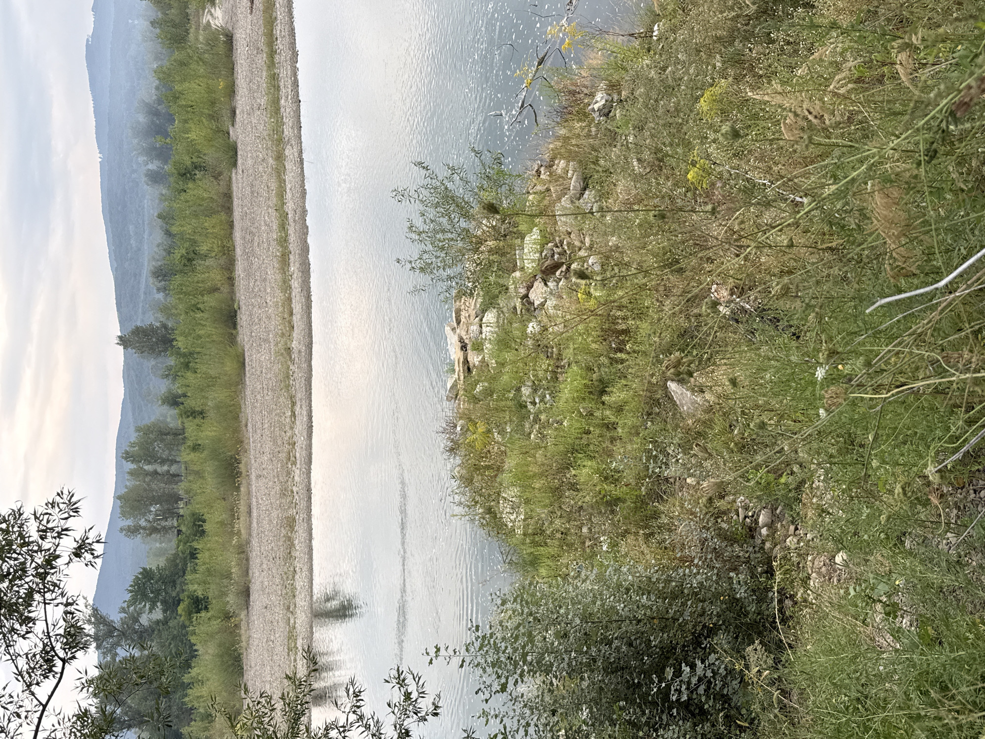 The image depicts a serene natural landscape by a river. The river flows from right to left across the frame, its surface reflecting the overcast sky. A wide, pebbly bank separates the river from a dense line of green bushes and trees. In the background, rolling hills covered in vegetation are visible under a hazy sky. The foreground is dominated by lush green grass, wild flowers, and rocky terrain on the riverbank. A few dry branches are partially submerged in the water on the right side of the frame. There are no people or animals visible in the image. The scene suggests a peaceful, unpopulated environment.