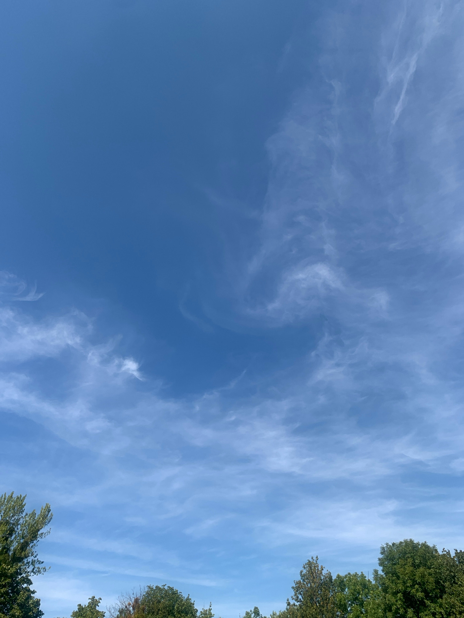 The image depicts a clear blue sky with wispy white clouds. The clouds are thin and scattered, forming streaks and swirls across the upper portion of the frame. In the lower part of the image, the tops of several green trees are visible, silhouetted against the sky. The scene appears to be an outdoor environment, possibly a park or a residential area, given the presence of trees. The lighting suggests it is daytime. The location is identified as Lviv, Ukraine.