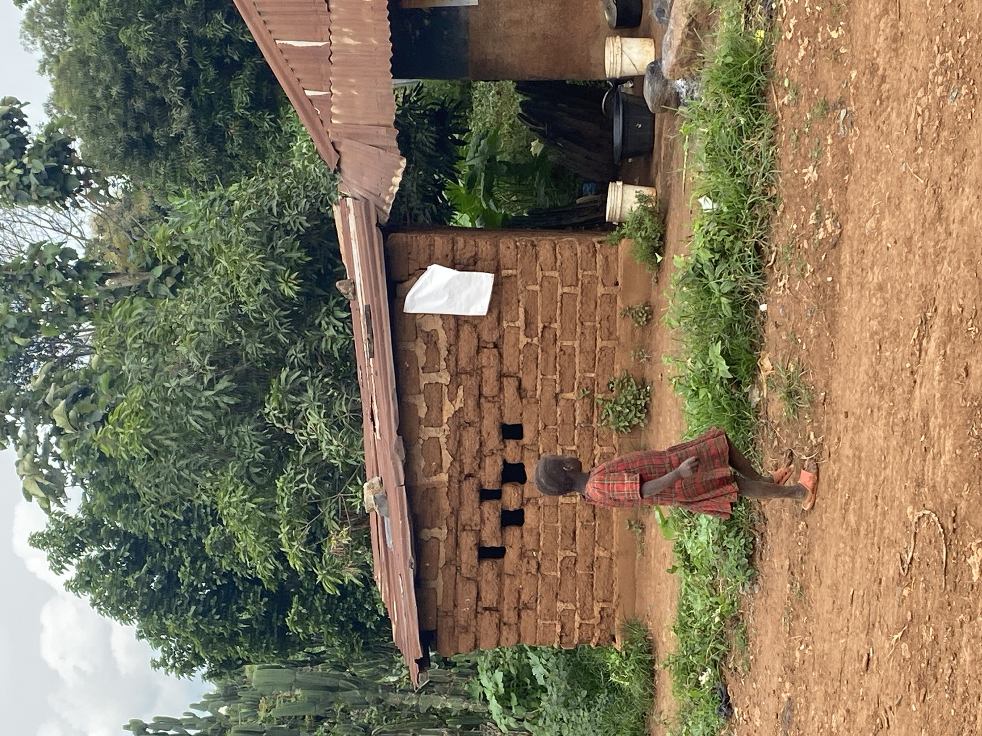 A young child in a red plaid dress walks on a dirt path in front of a small, red mud-brick building with a corrugated metal roof. The building has several dark, rectangular openings in its walls. To the left of the building, tall, green cacti are visible. Behind the building, lush green trees and vegetation create a dense backdrop. Several white and black buckets and some rocks are placed near the entrance of the building. The ground is covered in reddish-brown dirt and scattered green plants. The sky is overcast with clouds.