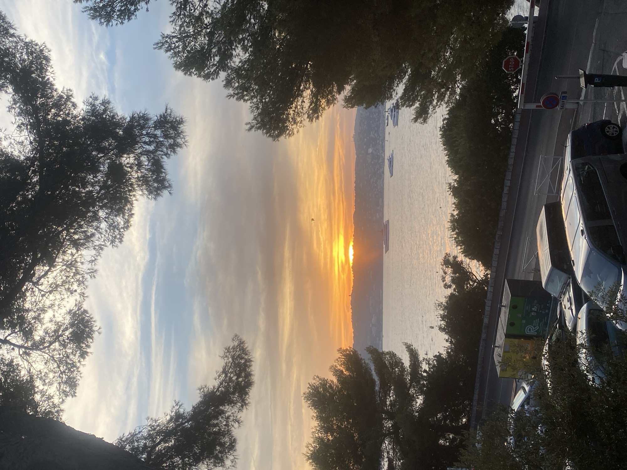 The image depicts a coastal sunset in Antibes, France, viewed through the branches of pine trees. The sun is low on the horizon, casting a warm orange and yellow glow across the sky and reflecting on the calm sea. Several yachts and boats are visible on the water, and the distant coastline is lined with buildings. In the foreground, a street runs along the coast, with parked cars, traffic signs, and recycling bins. The overall scene is tranquil and scenic, characteristic of a Mediterranean seaside town.