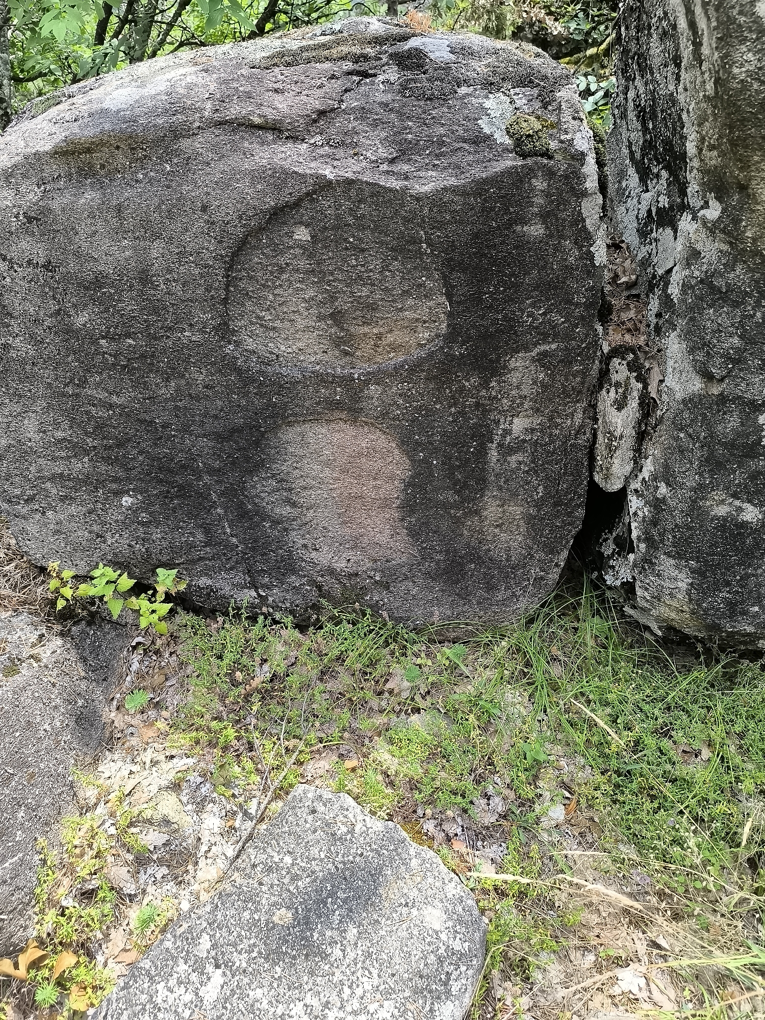 The image shows a large boulder with two circular indentations carved into its surface, located outdoors in Dolno Drianovo, Bulgaria. The boulder is dark gray and appears weathered, with some moss and lichen growing on its surface. The indentations are roughly circular, with the upper one being larger and more defined than the lower one. The lower indentation has a reddish-brown hue, possibly due to staining or mineral deposits. The surrounding environment consists of dry leaves, grass, and smaller rocks. In the background, there are trees and foliage, suggesting a natural or semi-natural setting. There are no people visible in the image. The scene is static and appears to be a close-up shot of the boulder.