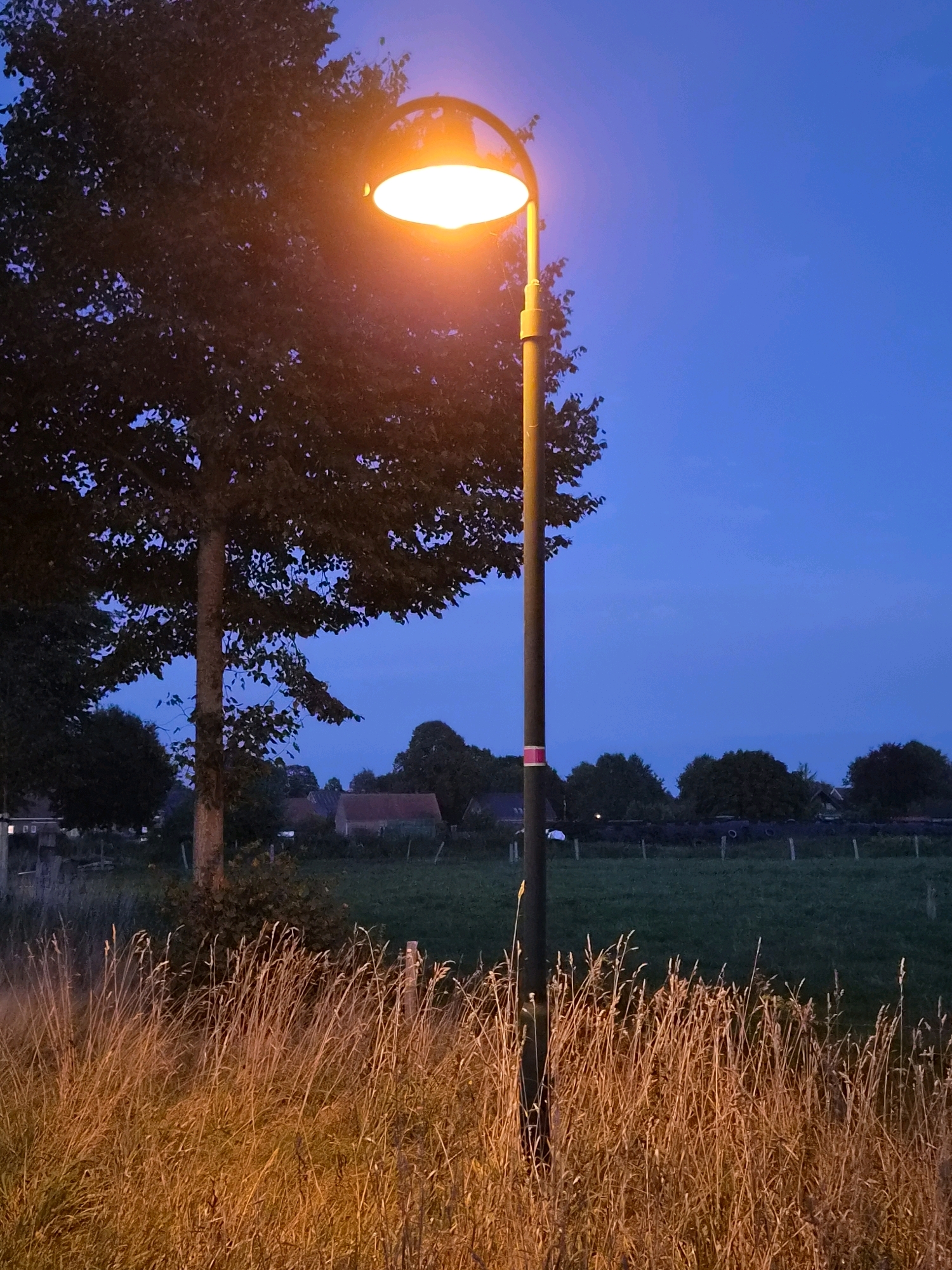 A tall, dark gray street lamp with a bright orange light stands on the right side of the frame, illuminating the foreground of dry, golden grass. Behind the grass, a dark green field stretches across the mid-ground. In the background, several houses with reddish-brown roofs are visible, nestled amongst dark green trees. The sky above is a deep blue, indicating either early morning or late evening. The overall scene is one of a rural or suburban landscape at dusk or dawn. The location is the city of Schiffdorf, Germany.