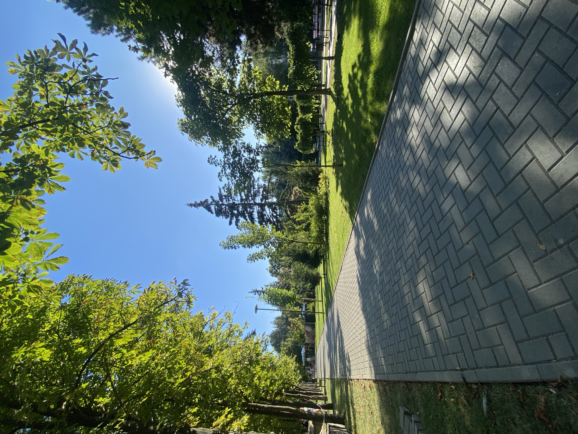 The image depicts a sun-drenched park pathway in Chișinău, Moldova. The pathway is paved with rectangular grey bricks laid in a herringbone pattern, with a strip of green grass running alongside it. Lush green trees with dappled sunlight filtering through their leaves line the left side of the path, casting shadows onto the bricks. In the distance, the path continues, flanked by more trees and manicured lawns. Several lampposts are visible along the path, suggesting it is a public area. The sky is a clear, bright blue with the sun positioned high, indicating it is midday. Some scattered leaves are visible on the grass and path, suggesting it may be late summer or early autumn.