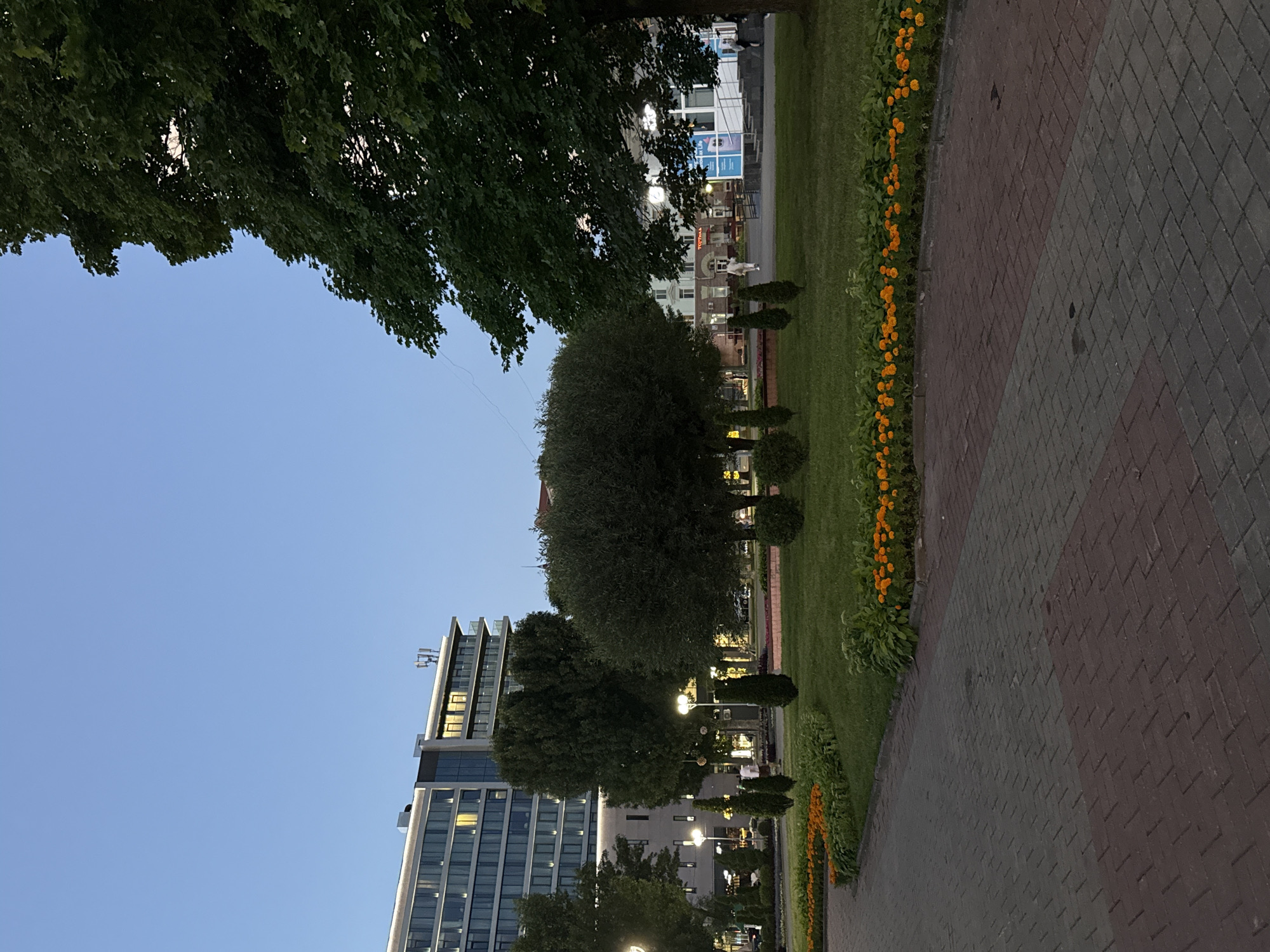 The image captures an urban park scene at dusk in Mahilyow, Belarus. A modern, multi-story building with a glass facade and illuminated windows dominates the background to the left. Adjacent to it, on the right, is a large, leafy tree. In the mid-ground, a manicured lawn is bordered by a path and flowerbeds filled with vibrant orange marigolds. Several lampposts are visible, casting a warm glow on the surroundings. A few people are sparsely distributed throughout the park, walking or standing. The pathway in the foreground is paved with red and grey bricks. The sky is a clear, soft blue, indicative of twilight.