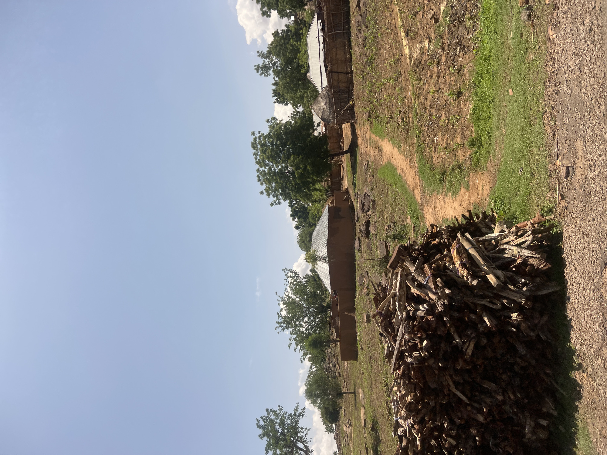 This image, taken in Kwarge, Nigeria, depicts a rural or semi-rural landscape under a light blue sky with scattered white cumulus clouds. In the immediate foreground, a substantial, unorganized pile of cut firewood, exhibiting some bundles secured with blue or purple ties, occupies the lower-left quadrant. A rough, gravelly dirt surface transitions into a narrow, winding dirt footpath extending towards the middle-right. Adjacent to the path on the right, a cultivated field displays rows of nascent green crops. The midground contains a cluster of traditional structures: several compounds with reddish-brown, mud-rendered walls and metallic, domed or conical roofs are visible, interspersed with trees. A distinct circular hut with a conical thatched roof stands on the mid-right, enclosed by a fence constructed from vertical sticks. The terrain is rocky and uneven, featuring sparse green vegetation and numerous mature trees across the background. No individuals are present. The environmental conditions suggest a sunny day in a dry region.