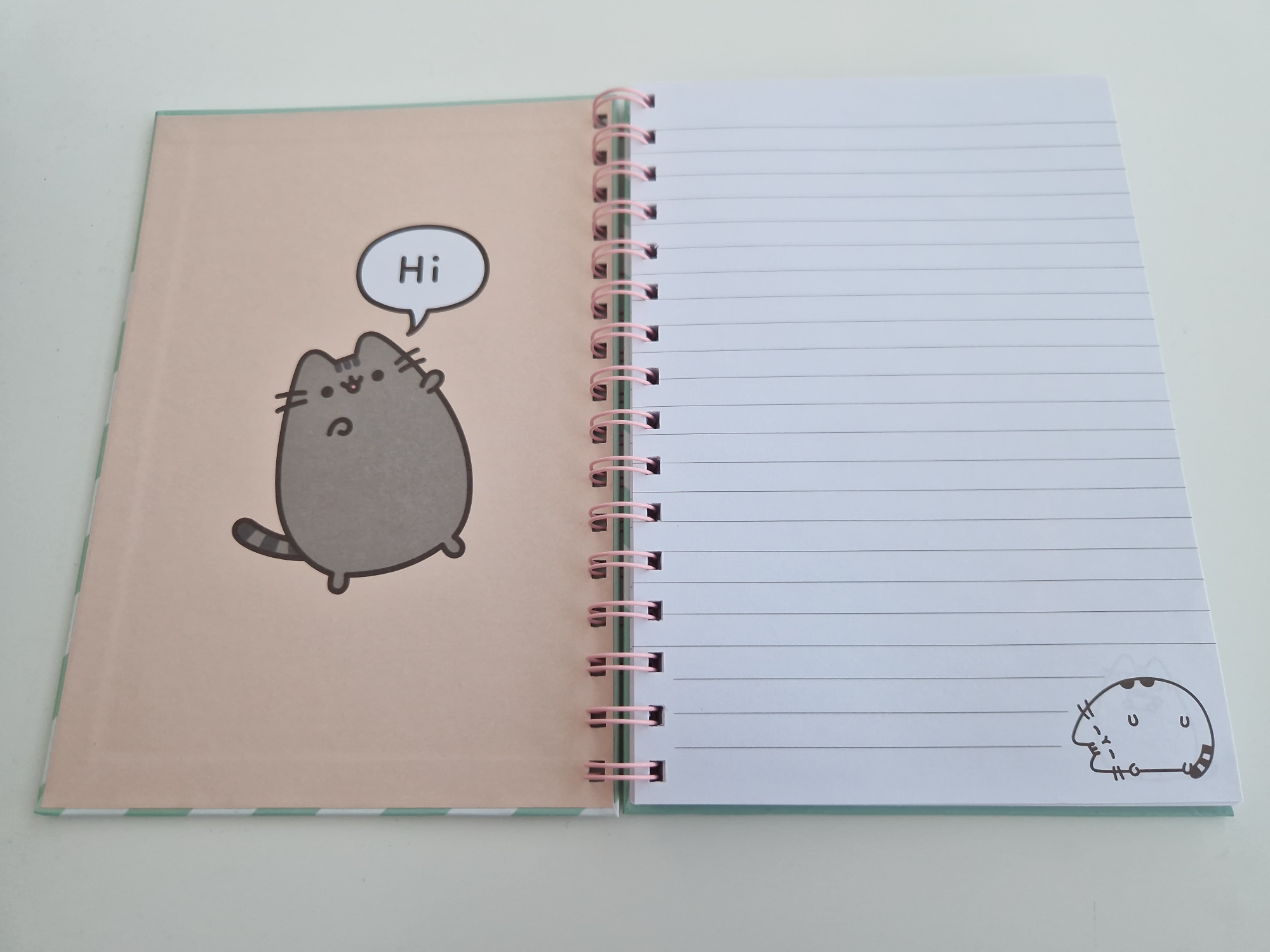 The image shows an open spiral-bound notebook with a light pink cover. The cover features a gray cartoon cat with a striped tail and a speech bubble that says "Hi!". The notebook pages are lined with white paper. A smaller illustration of the same cat is at the bottom left corner of the pages. The background is a plain white surface. There is no information about the location in Sofia, Bulgaria.