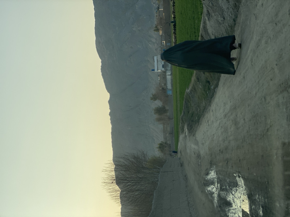 The image captures a rural or semi-urban landscape within Kandahar, Afghanistan, at dusk or dawn. A single individual, dressed in a dark green full-body burqa, walks away from the viewer along an unpaved dirt road on the right side of the frame. The road surface is uneven, featuring several puddles reflecting the sky. To the immediate left of the road, a low, textured wall, appearing to be constructed from earth or mud, runs parallel to the path. Beyond the road, on the right, extends a vibrant green agricultural field. In the mid-distance along the dirt path, a second figure, also in a dark garment, is visible. Further into the midground, within the green field, a small herd of livestock (likely sheep or goats) is present, along with a distant human figure. The background features large, rugged mountains under a pale, warm-toned sky, indicating the low sun. Bare trees and scattered low-rise structures are visible between the fields and the mountains.
