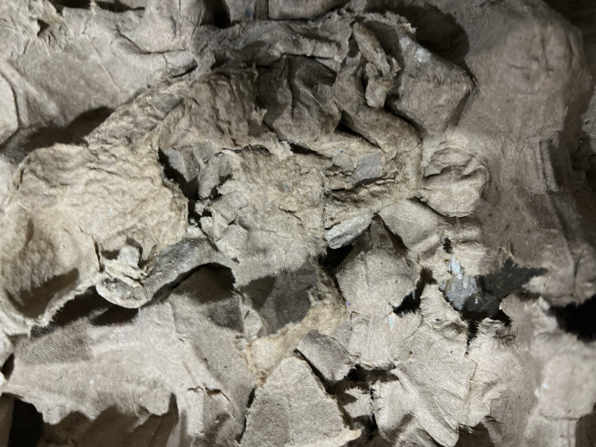 The image shows a close-up, overhead view of crumpled, brown, fibrous material. The material appears to be paper or cardboard, with a textured surface showing ridges and indentations. Some areas are torn and frayed, revealing a rougher texture underneath. There are shadows cast by the folds and creases in the material, creating a sense of depth and dimension. Small, scattered specks of light blue can be seen on some of the surfaces. The overall impression is one of discarded or decaying organic matter, possibly from packaging or waste. There are no visible people, actions, or interactions, nor any specific environmental clues that would indicate a location within Benuaraja, Indonesia. The image focuses solely on the texture and form of the material itself.